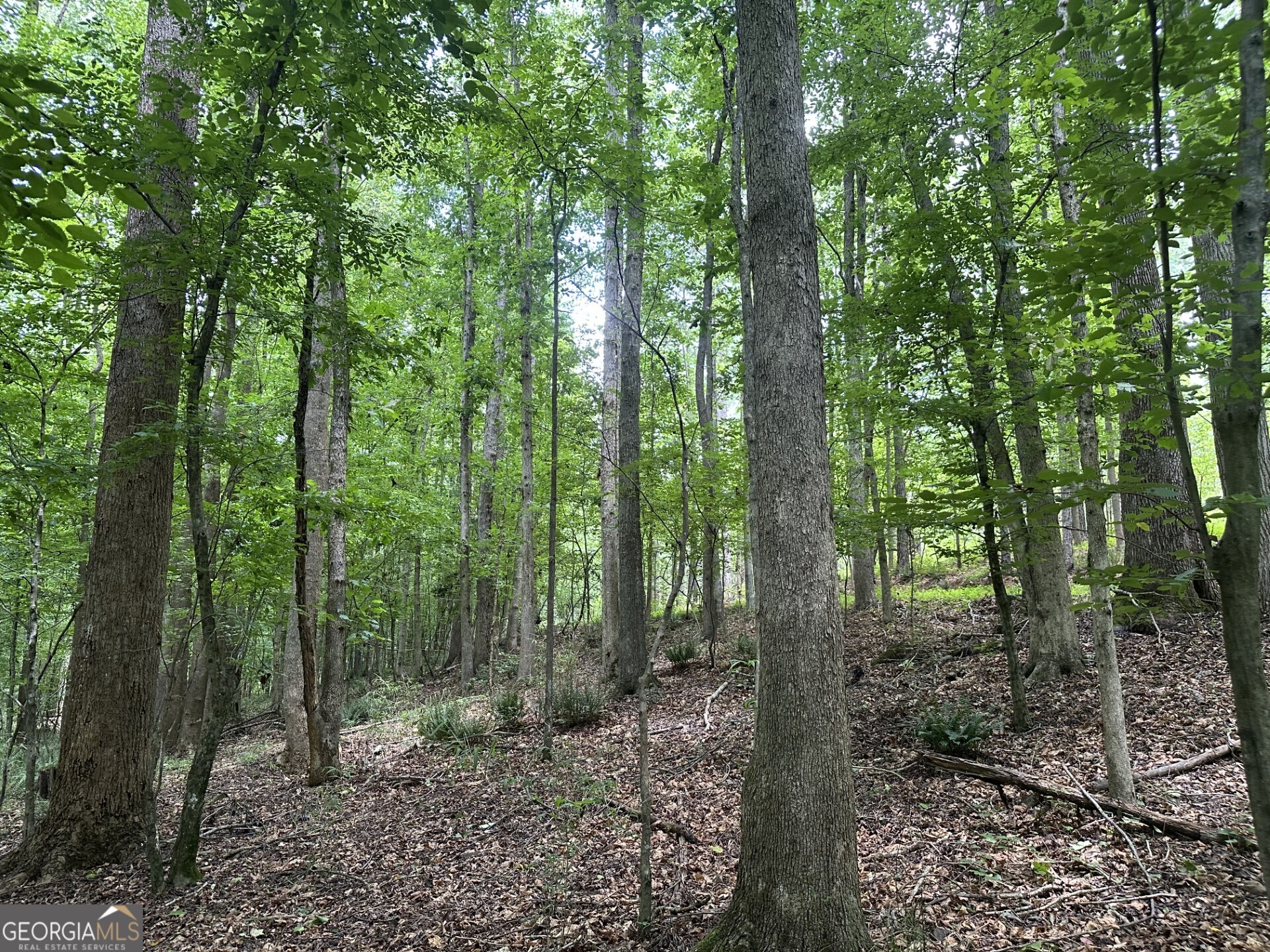 360 Happy Hollow Road Property Photo 28