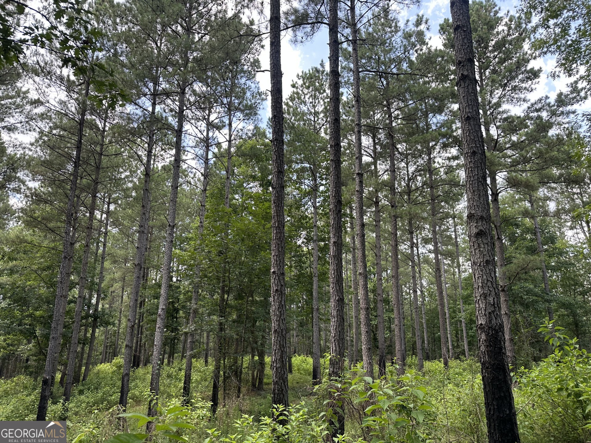 360 Happy Hollow Road Property Photo 29