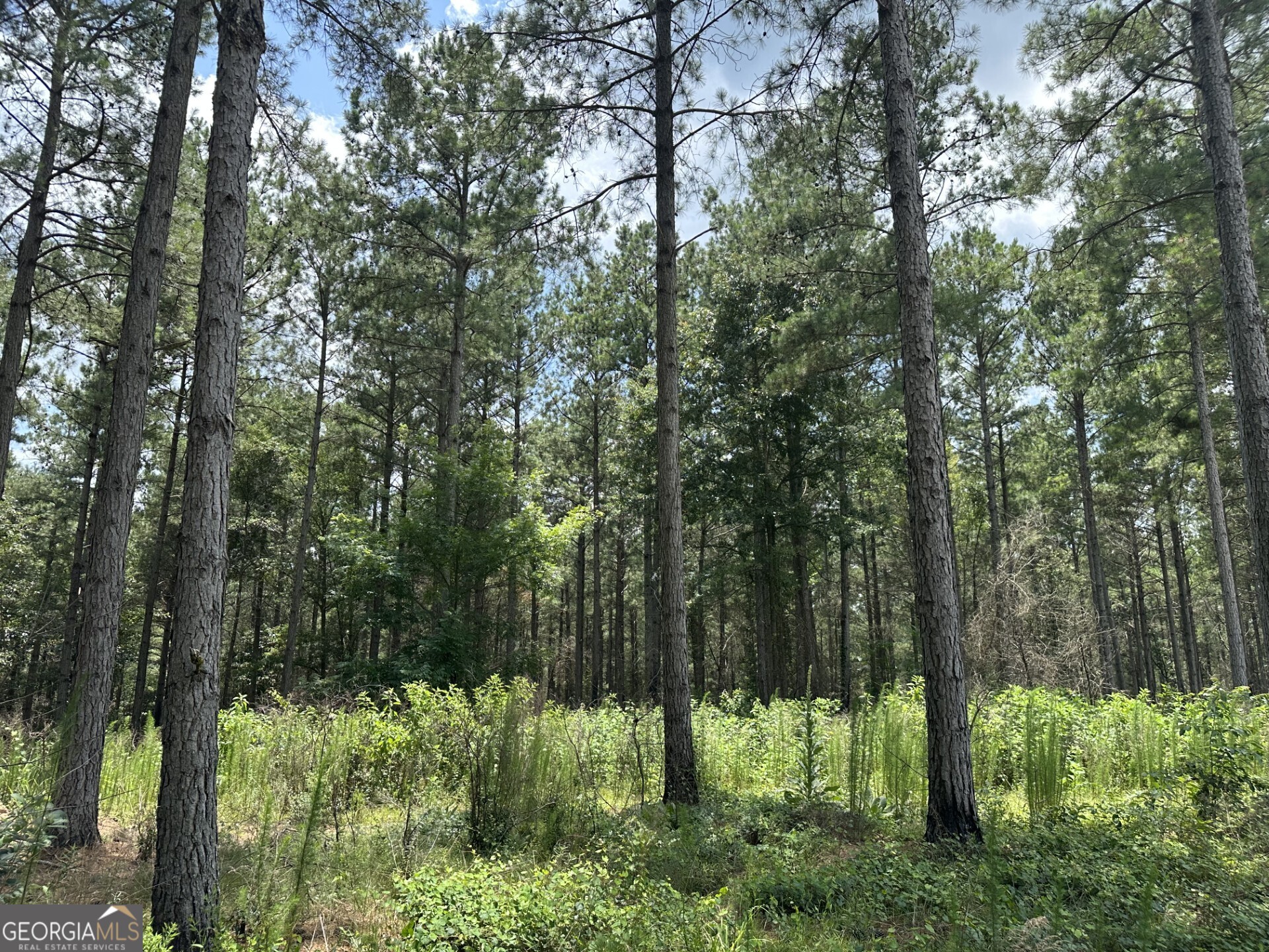 360 Happy Hollow Road Property Photo 30