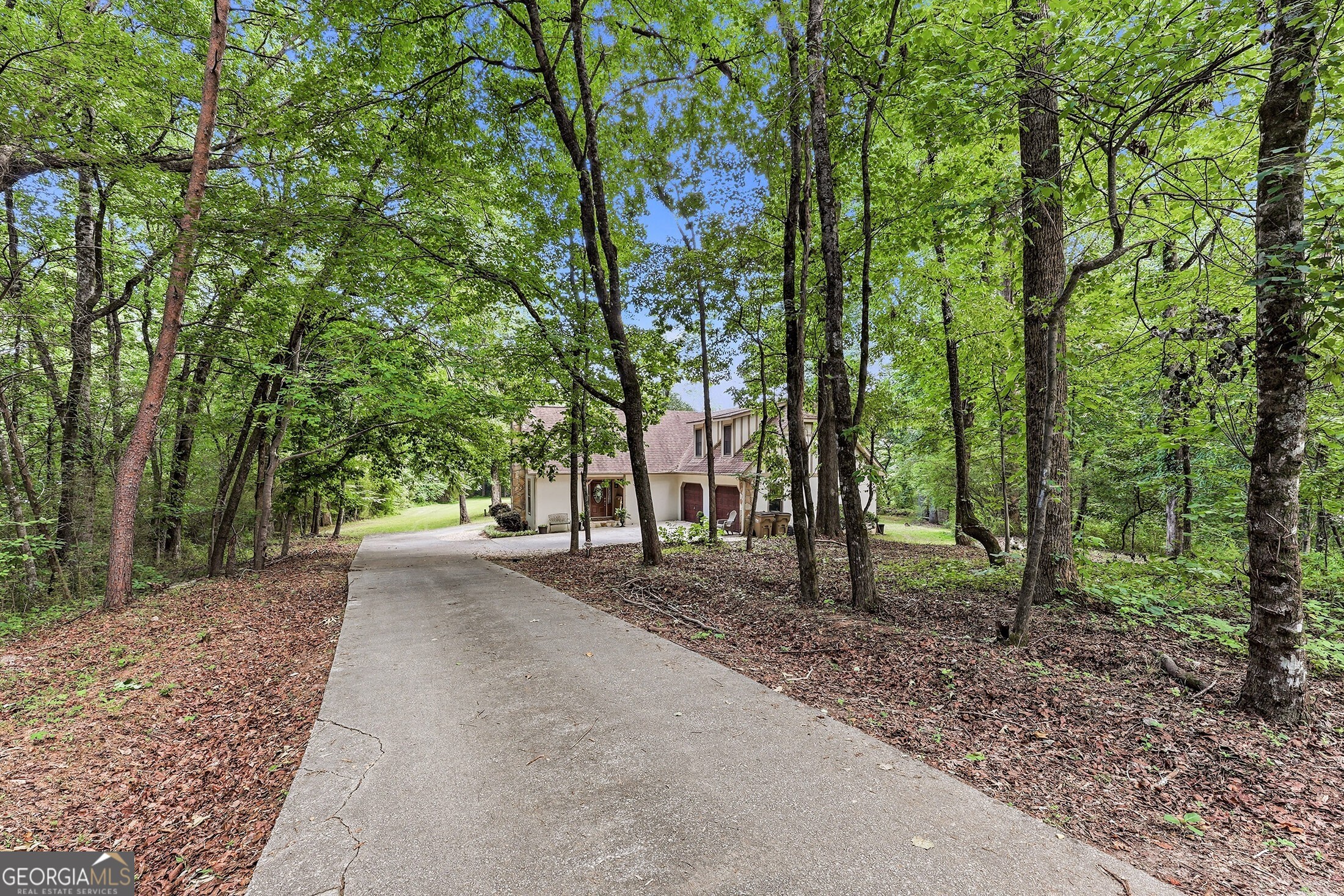 3421 Chestatee Road Property Photo 86