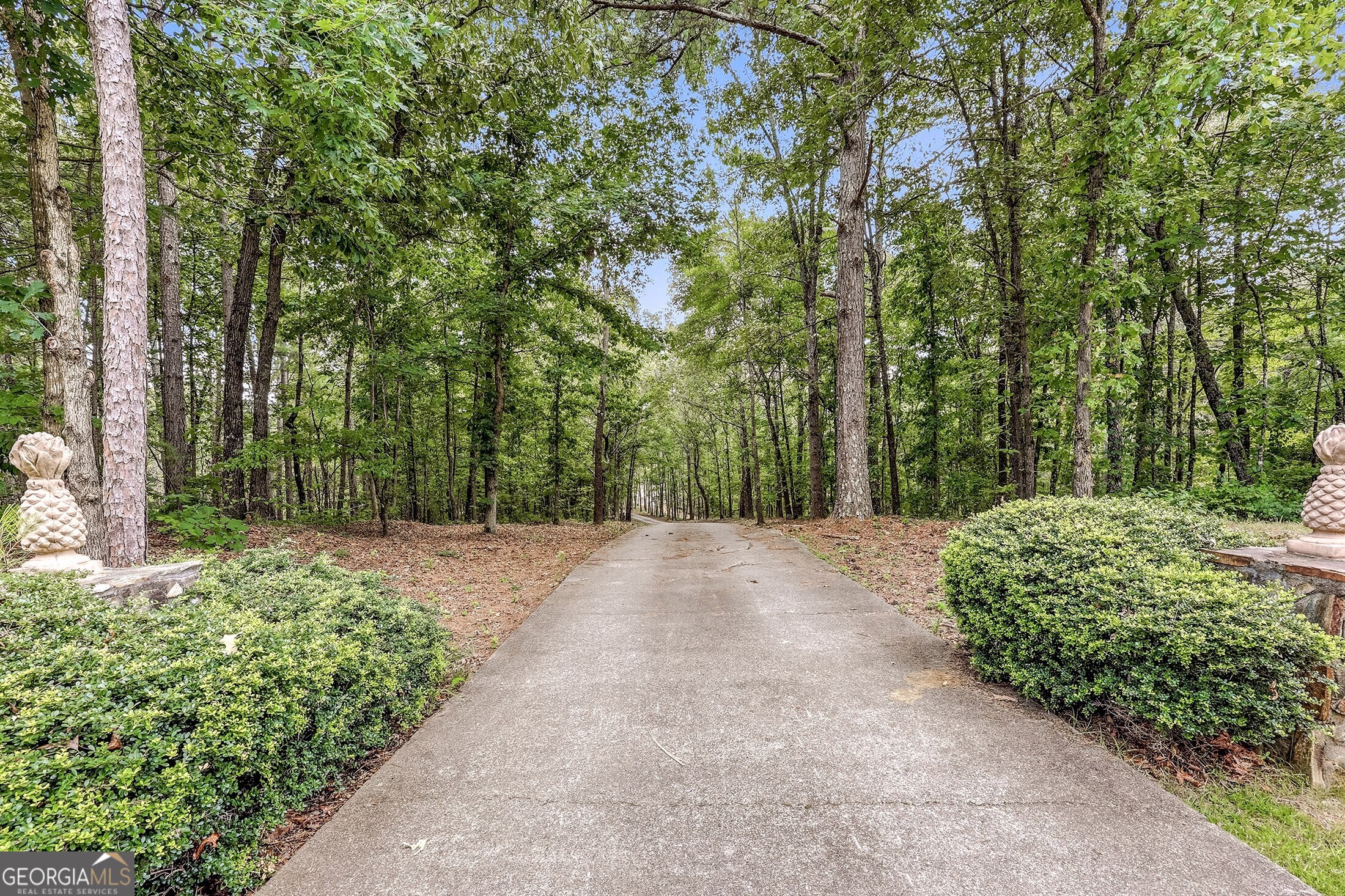 3421 Chestatee Road Property Photo 88