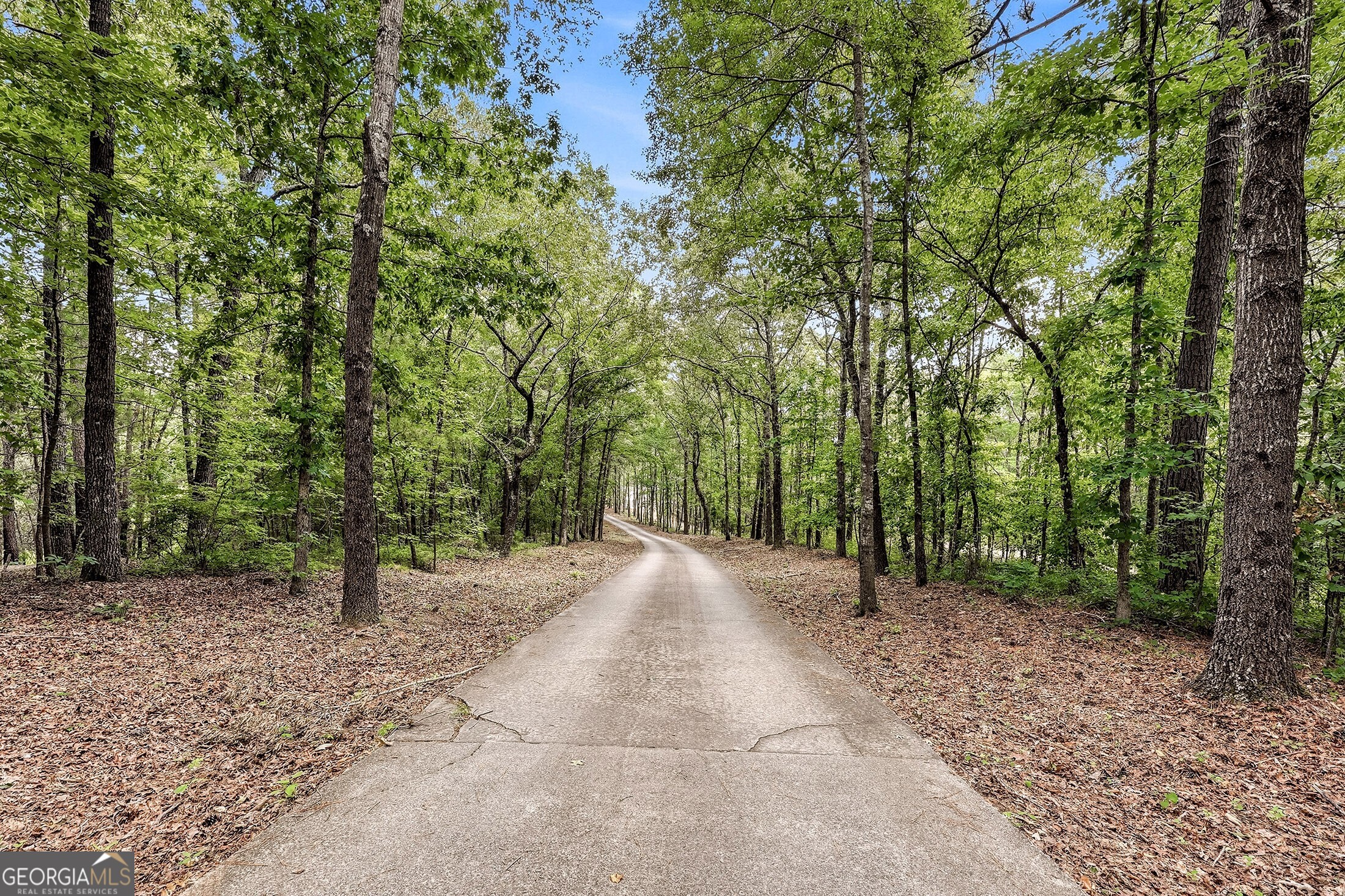 3421 Chestatee Road Property Photo 89