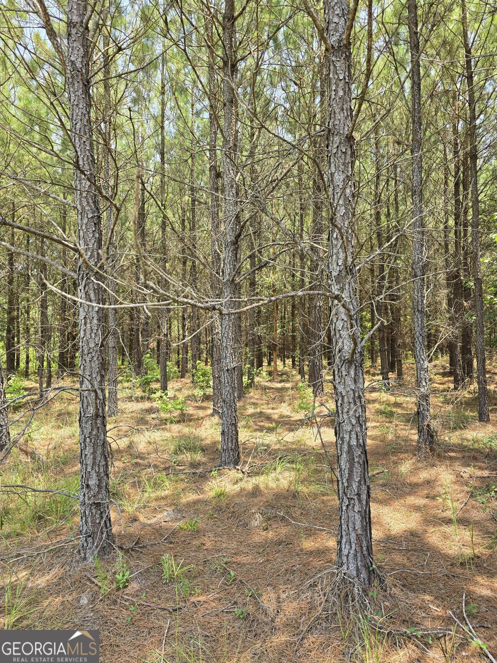 0 Ga Hwy 56 N Property Photo 1