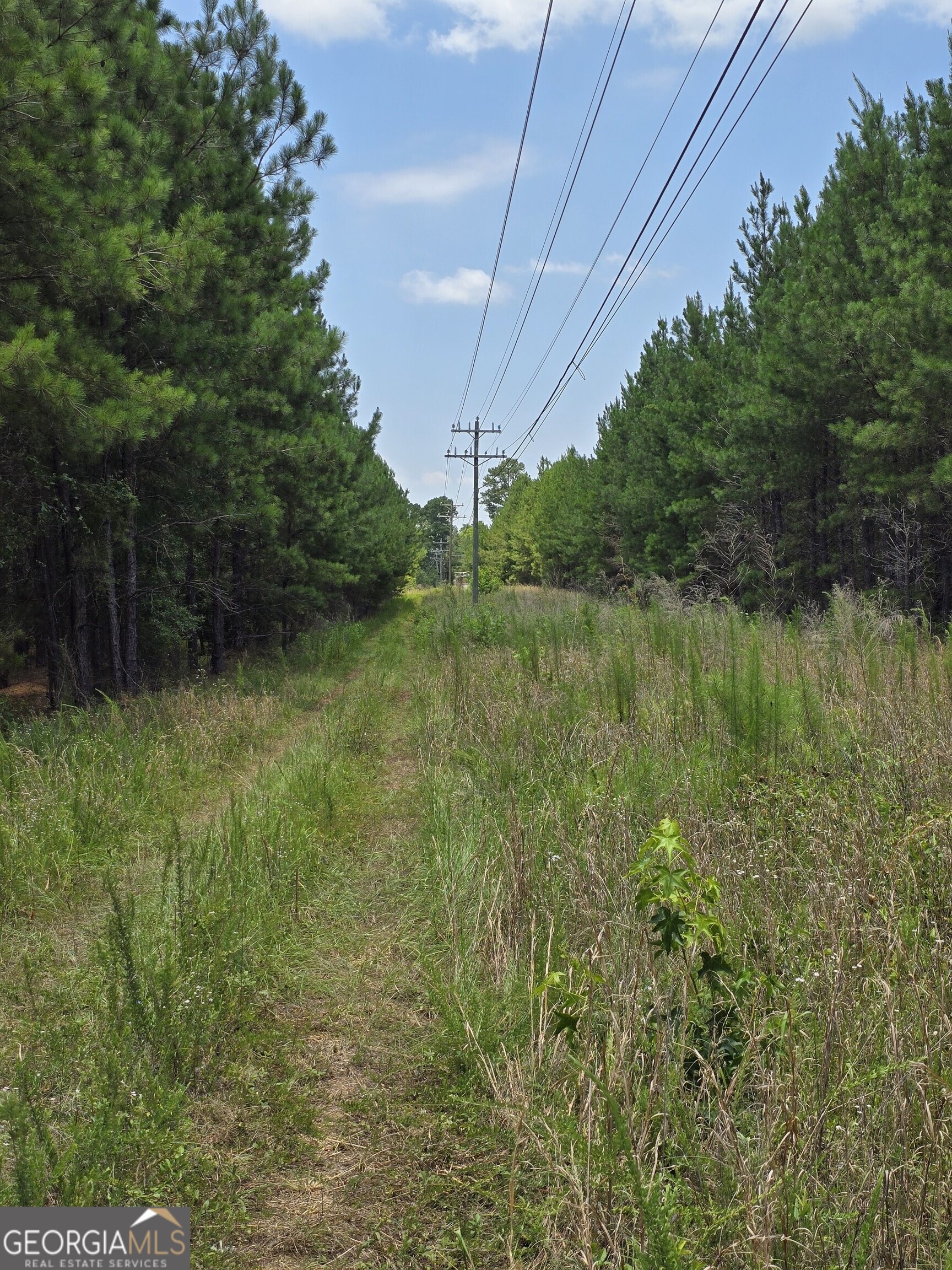 0 Ga Hwy 56 N Property Photo 4
