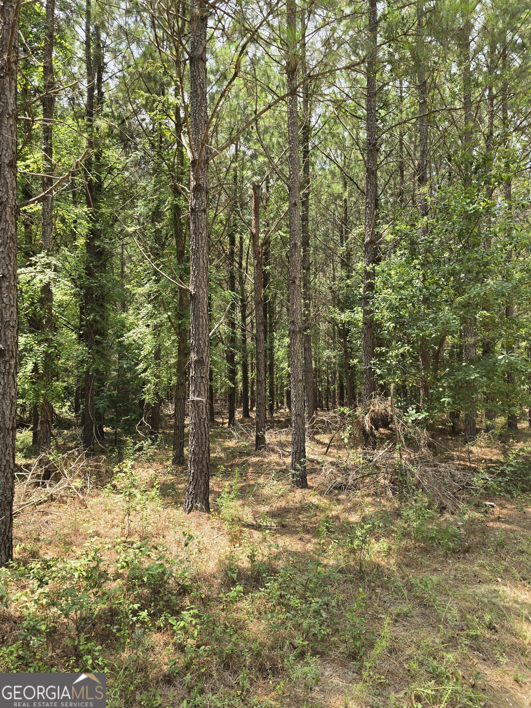 0 Ga Hwy 56 N Property Photo 7