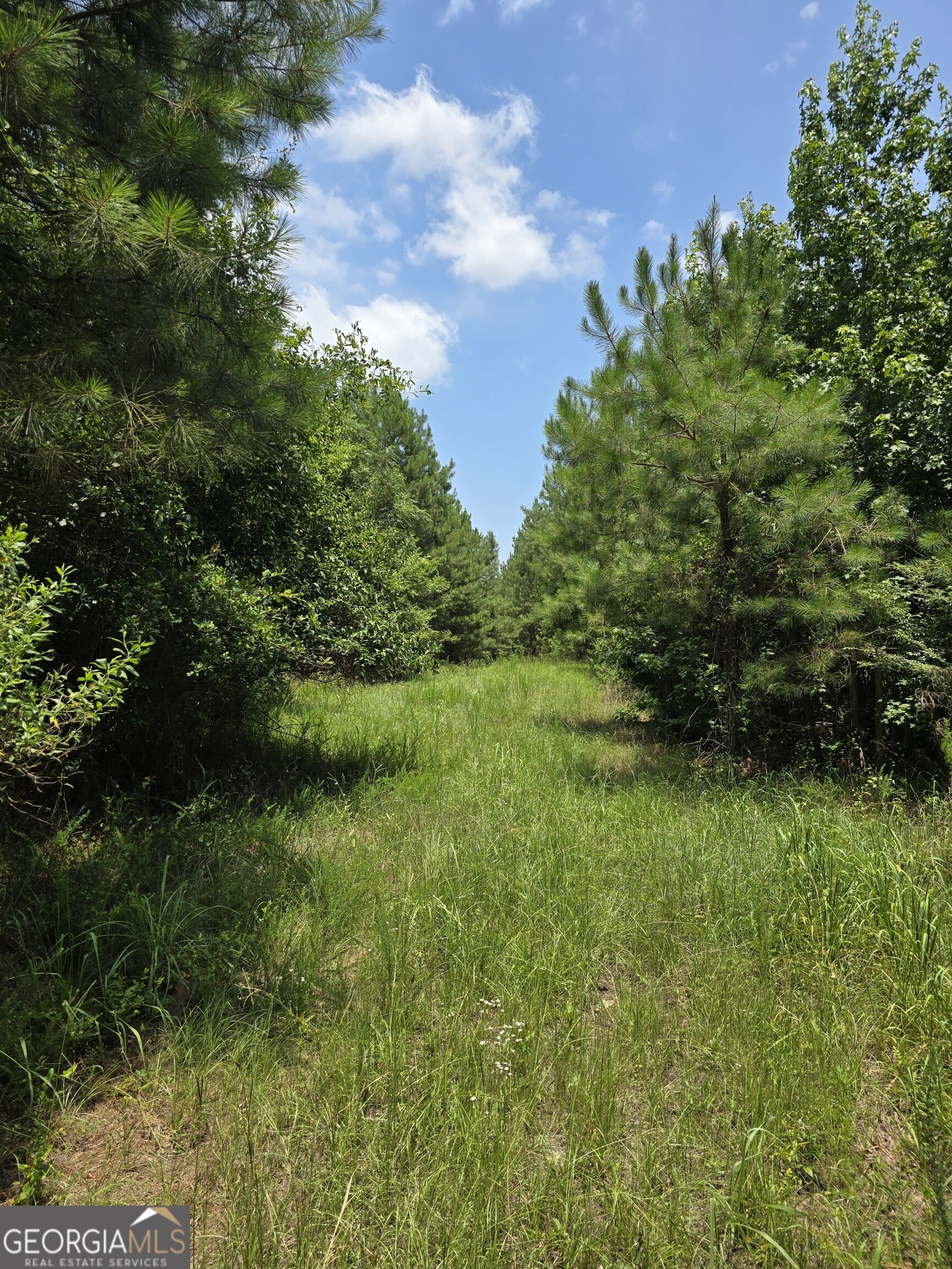 0 Ga Hwy 56 N Property Photo 10