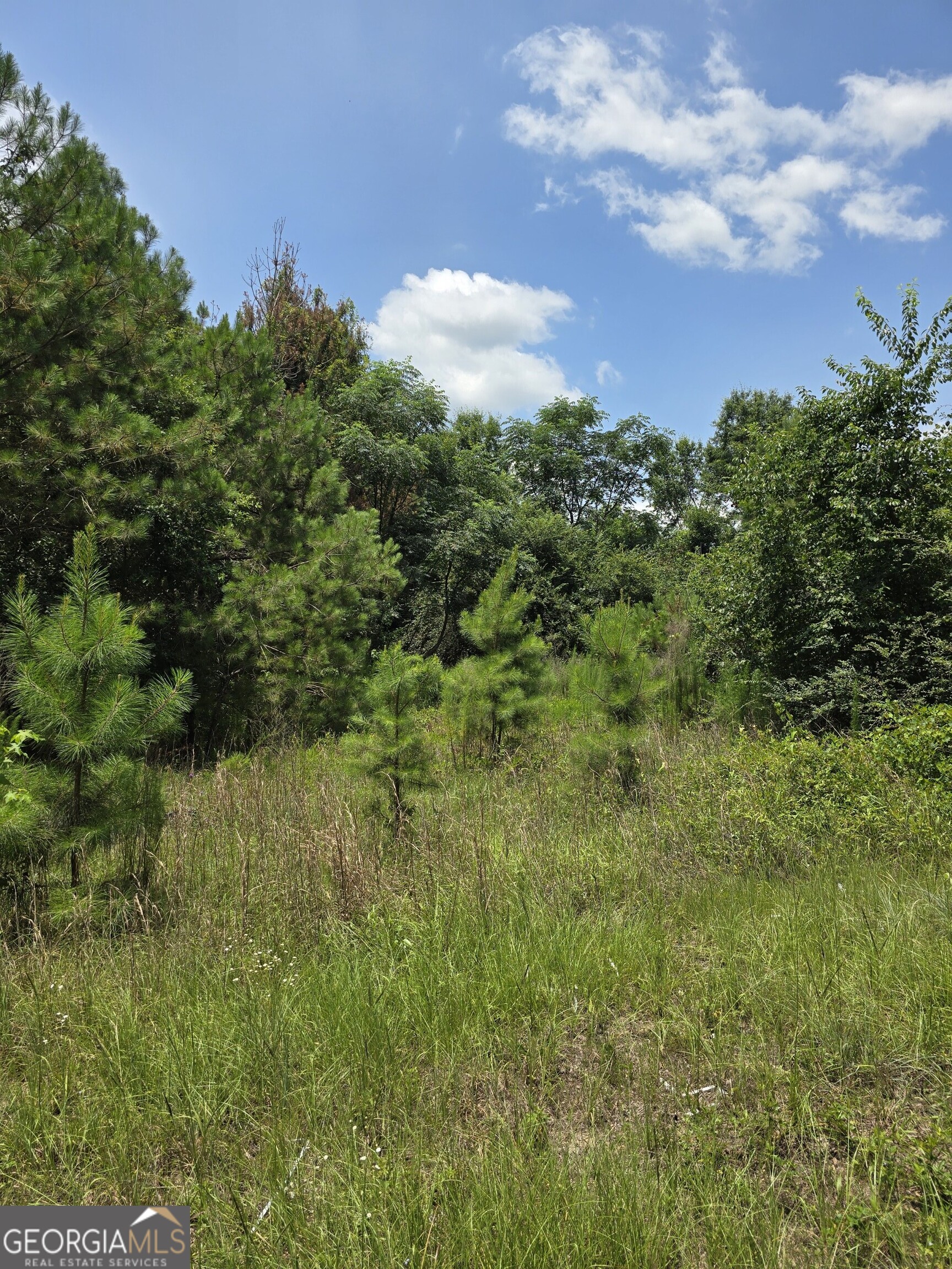 0 Ga Hwy 56 N Property Photo 11