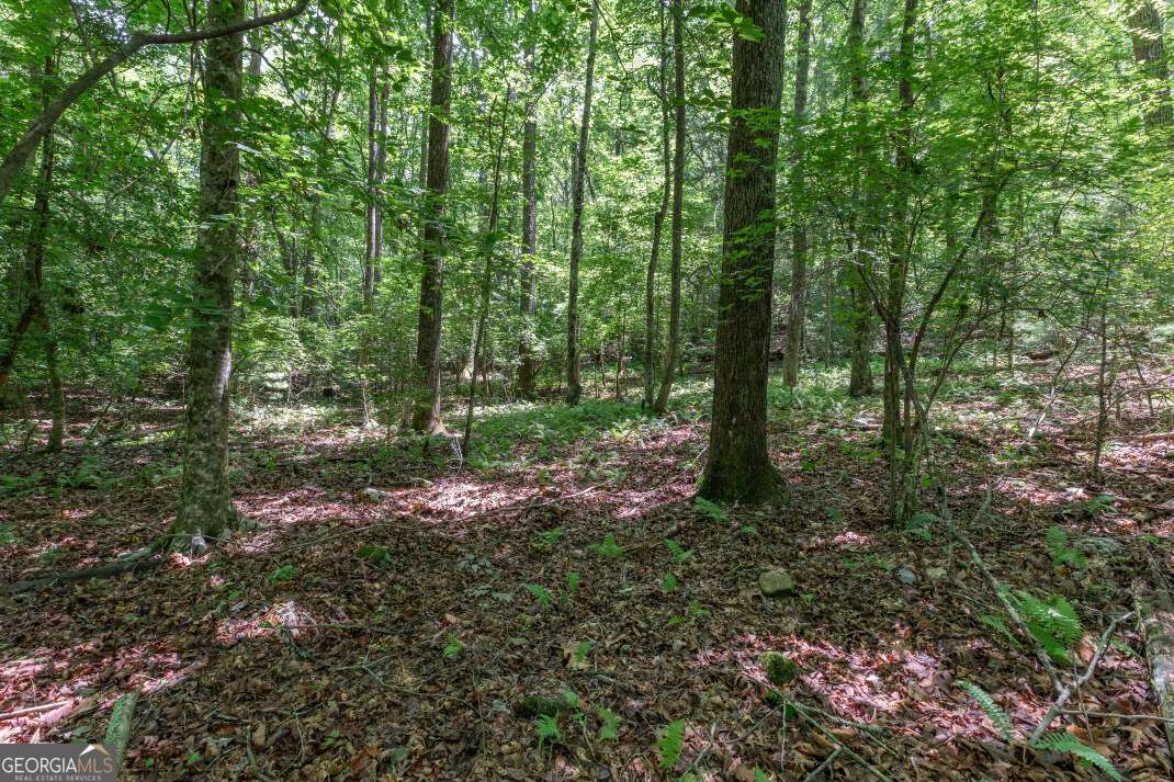 5 Ac Solar Drive Property Photo 5