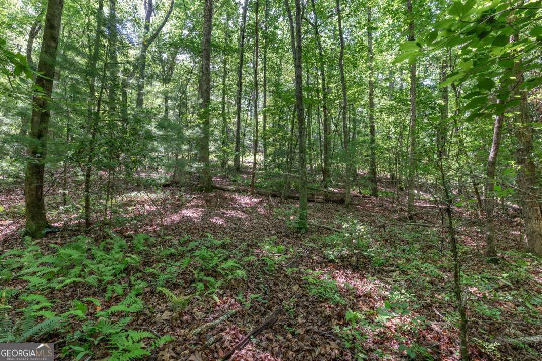 5 Ac Solar Drive Property Photo 6