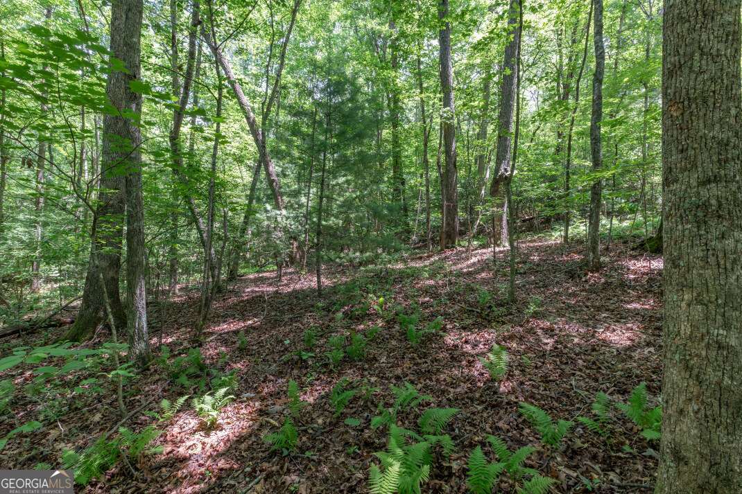 5 Ac Solar Drive Property Photo 7