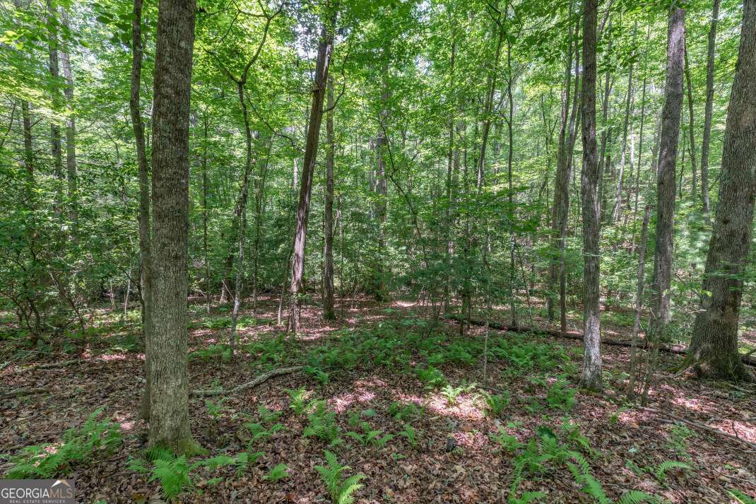 5 Ac Solar Drive Property Photo 8