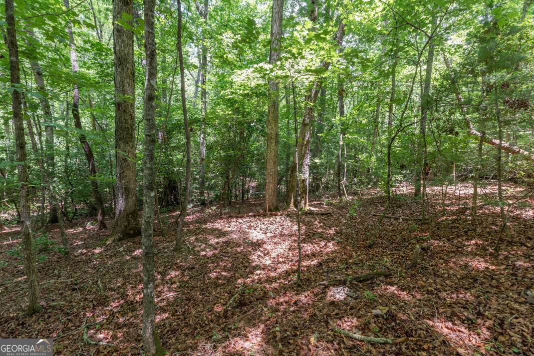 6 Ac Solar Drive Property Photo 3