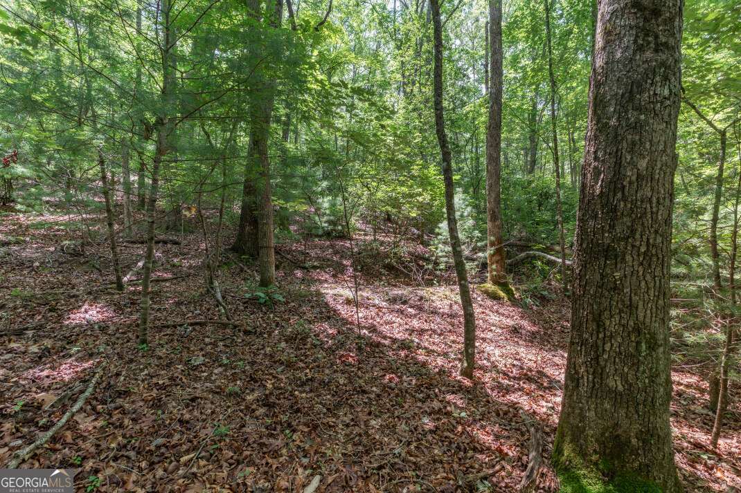 6 Ac Solar Drive Property Photo 4