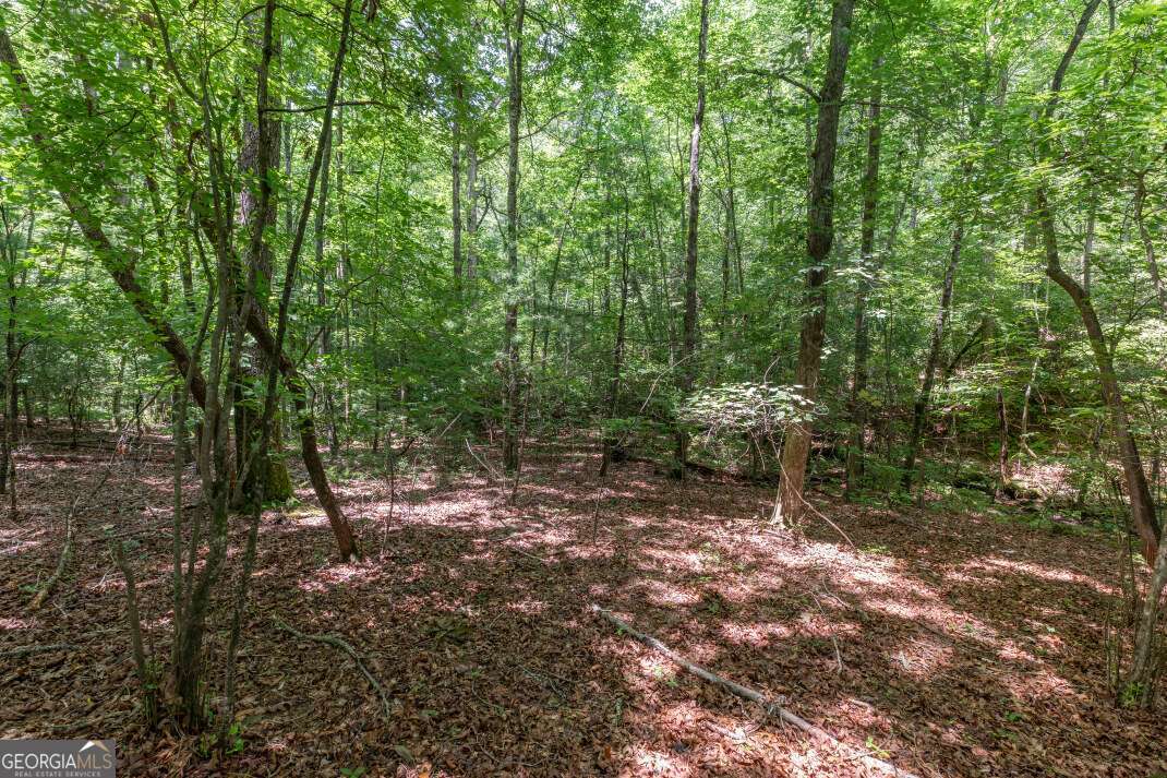 6 Ac Solar Drive Property Photo 5