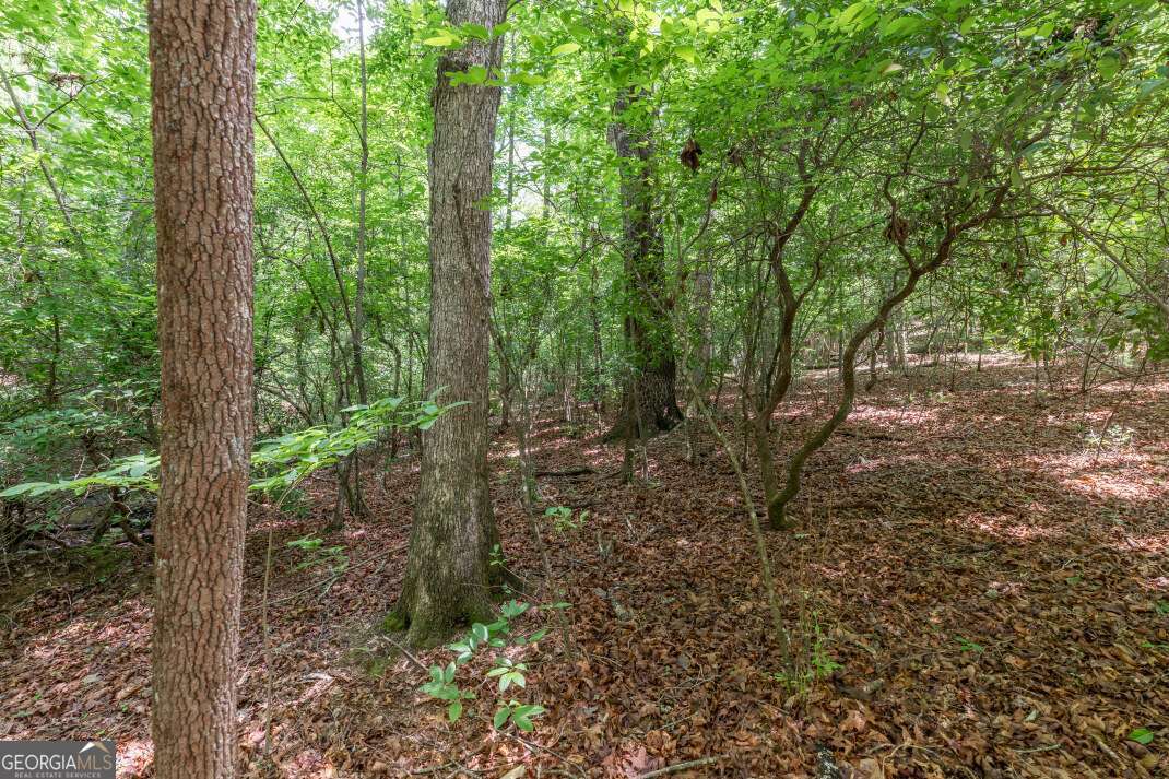 6 Ac Solar Drive Property Photo 6