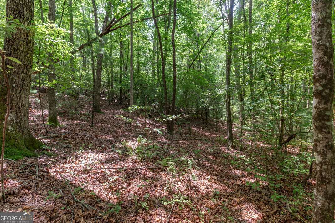 6 Ac Solar Drive Property Photo 8