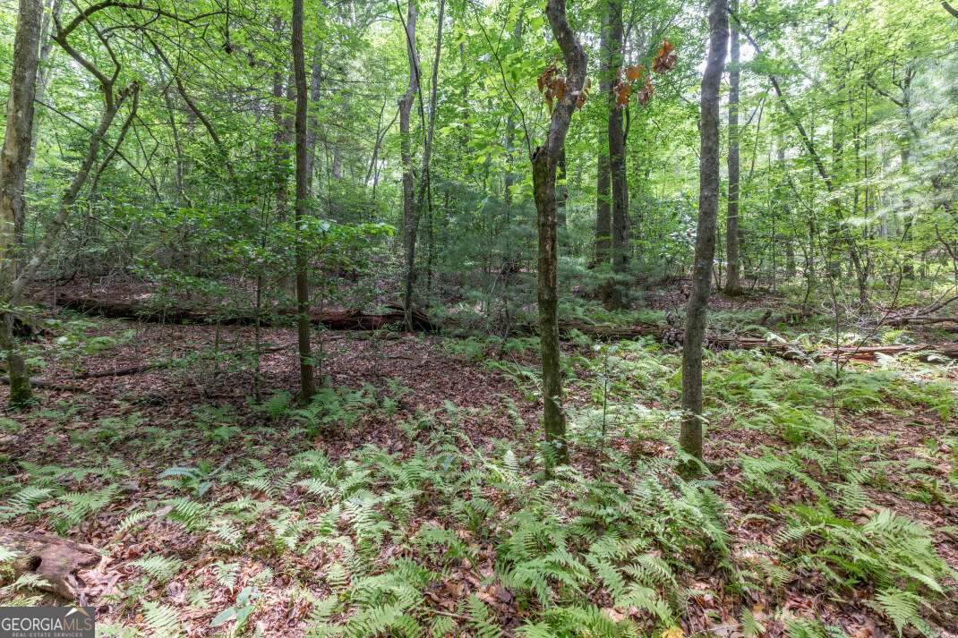 6 Ac Solar Drive Property Photo 9