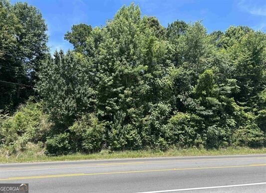 0 Highway 431 Property Photo 1