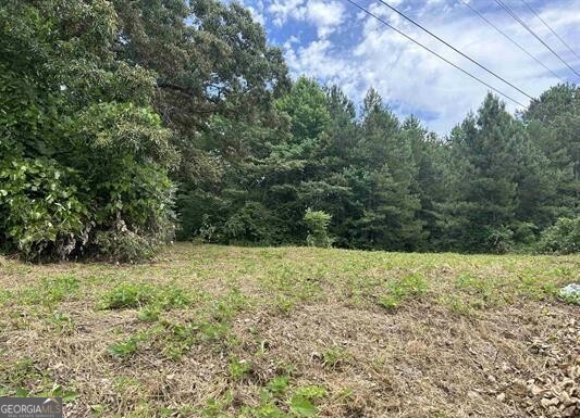 0 Highway 431 Property Photo 2
