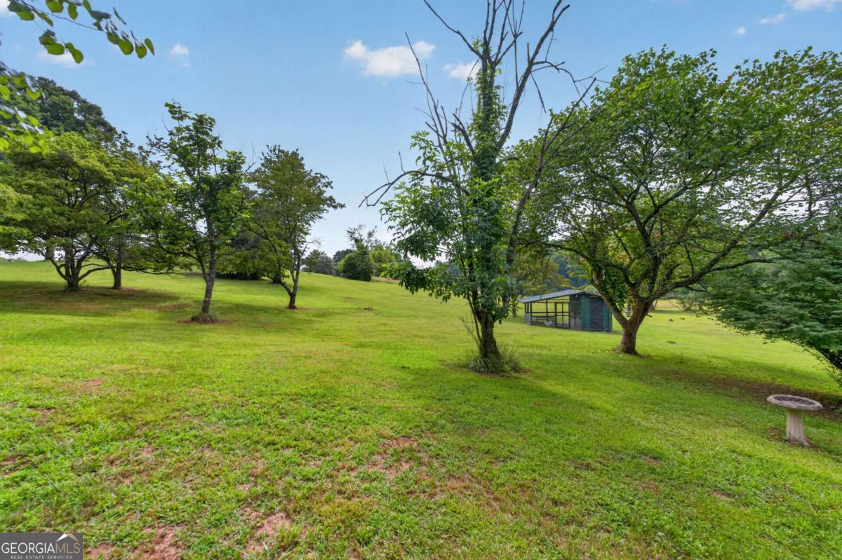247 Amys Ford Trail Property Photo 47