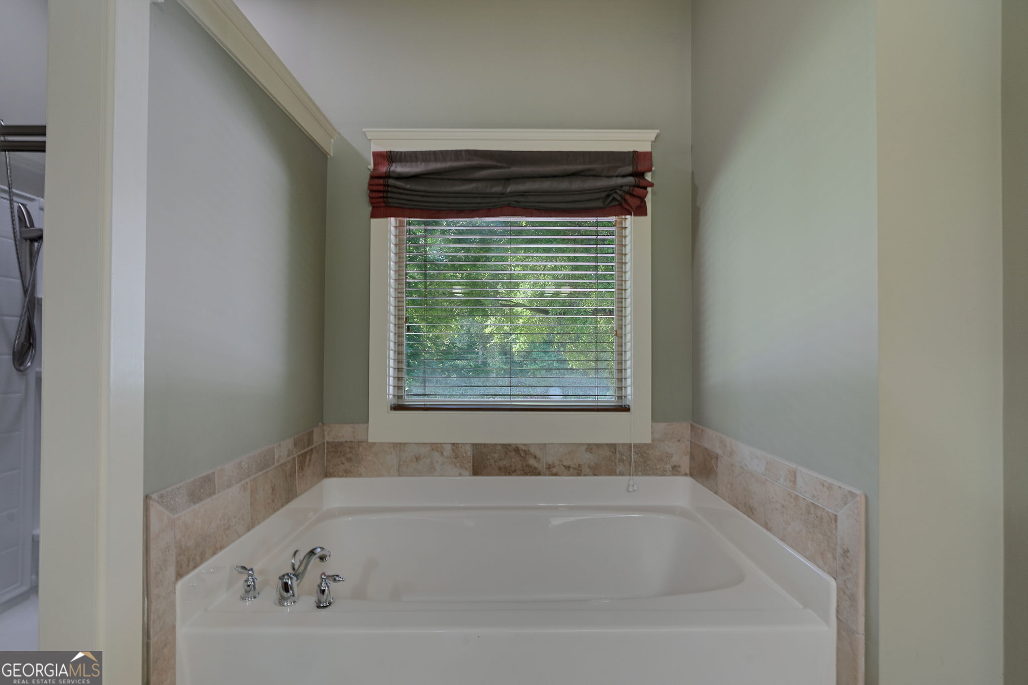 9938 Mancunian Way Property Photo 115