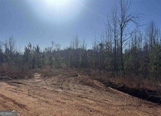 1661 County Road 637 Property Photo 1