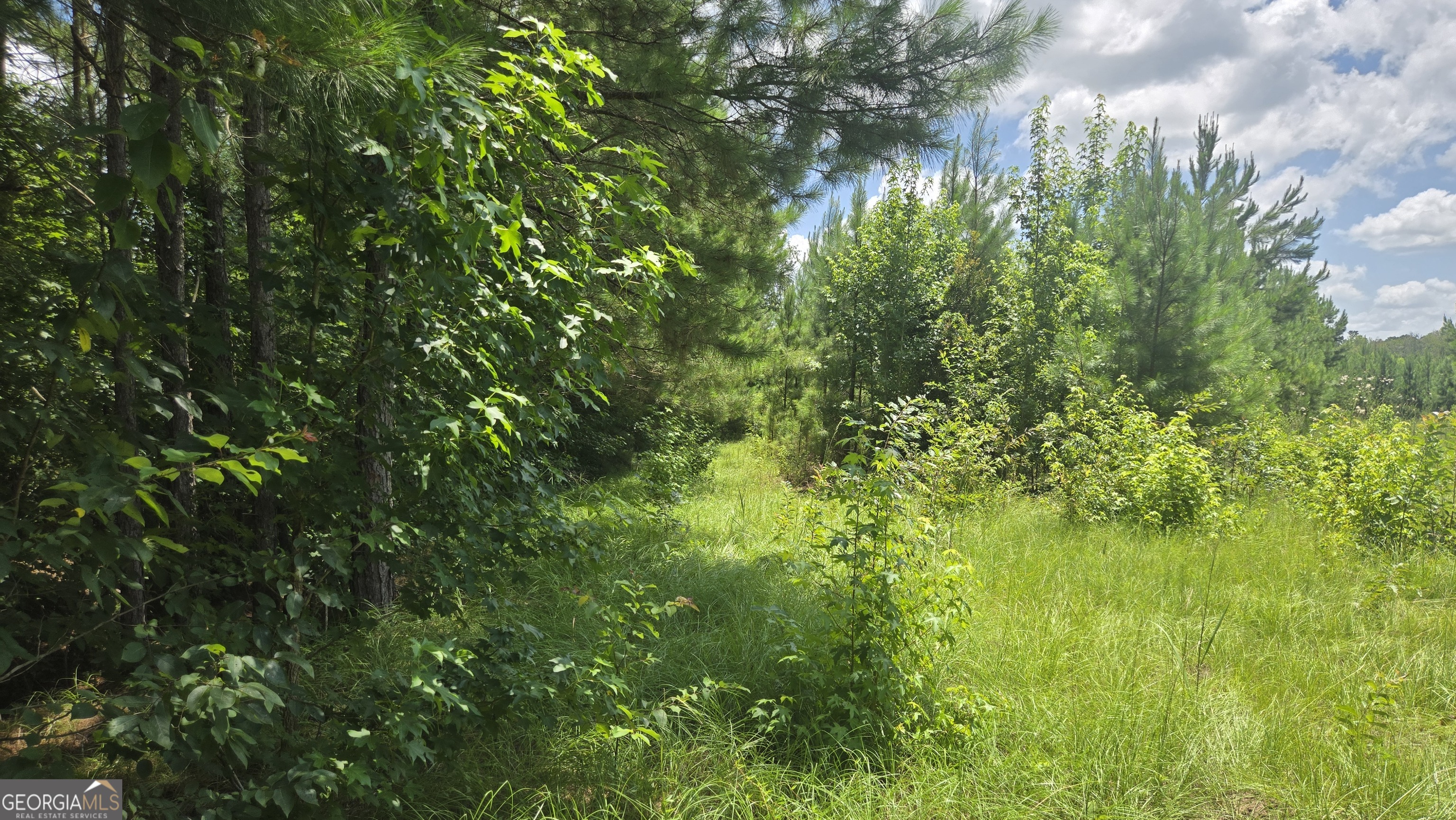 0 East Highway 84 Ne Property Photo 7