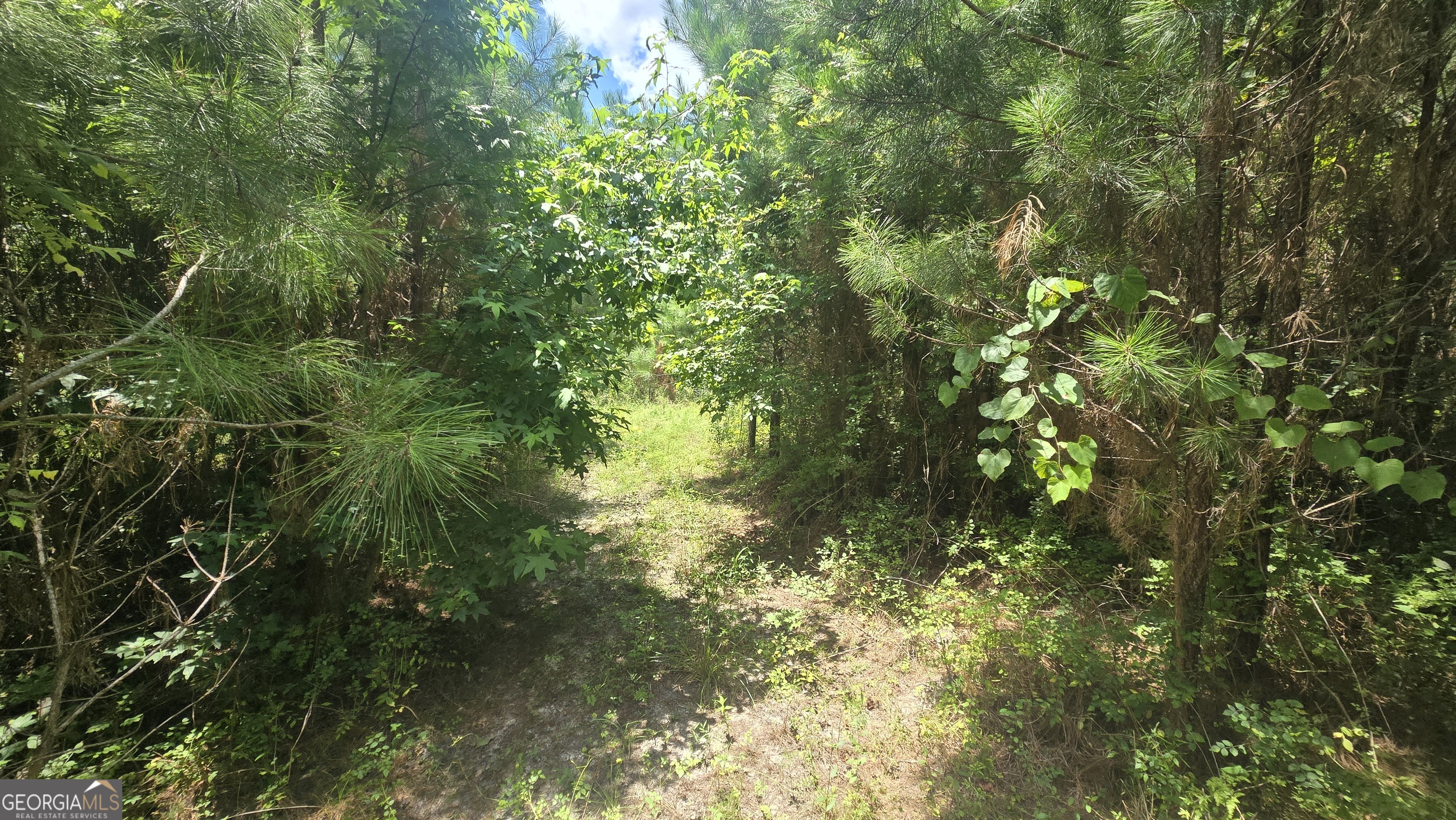 0 East Highway 84 Ne Property Photo 8