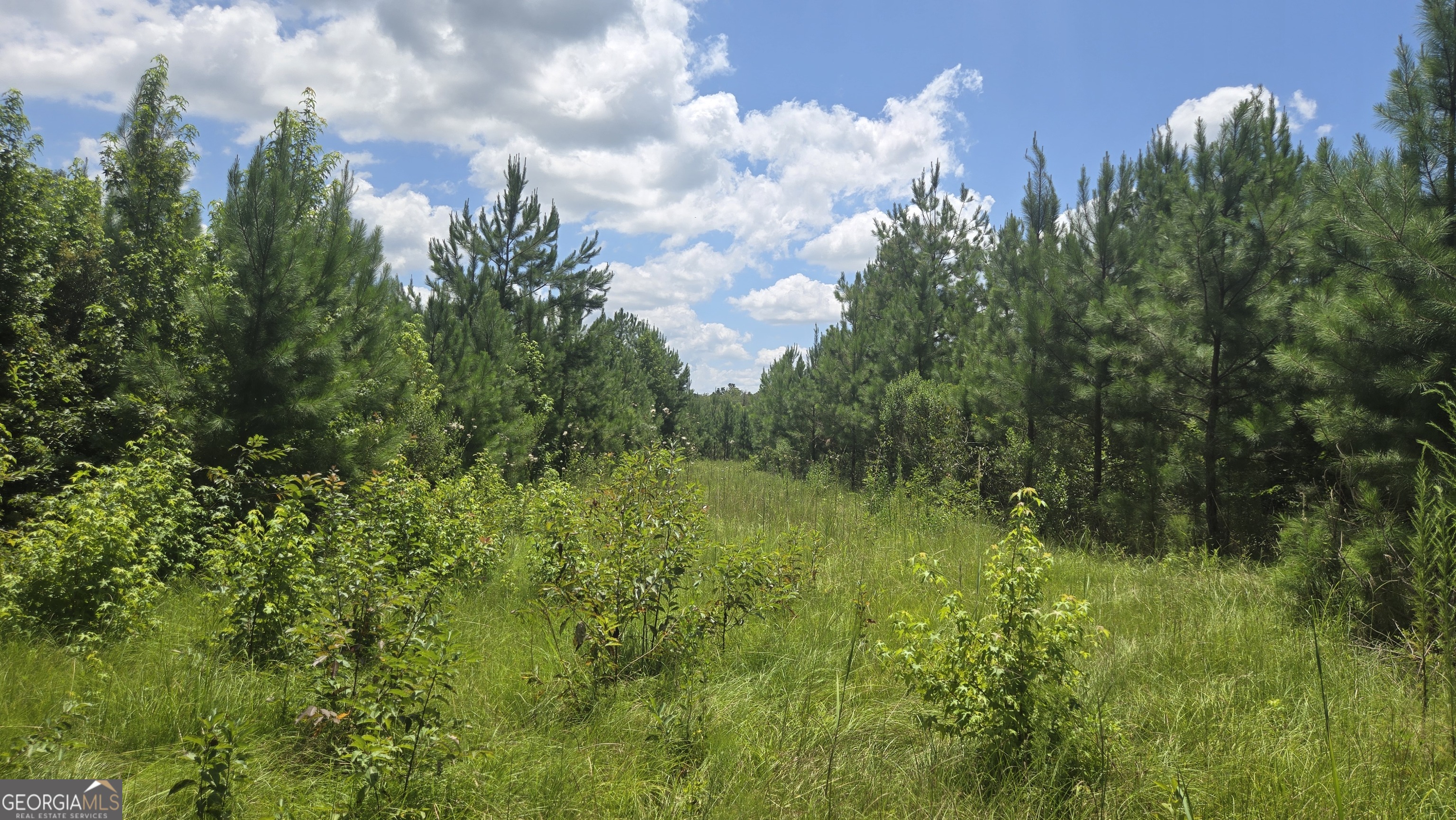 0 East Highway 84 Ne Property Photo 9