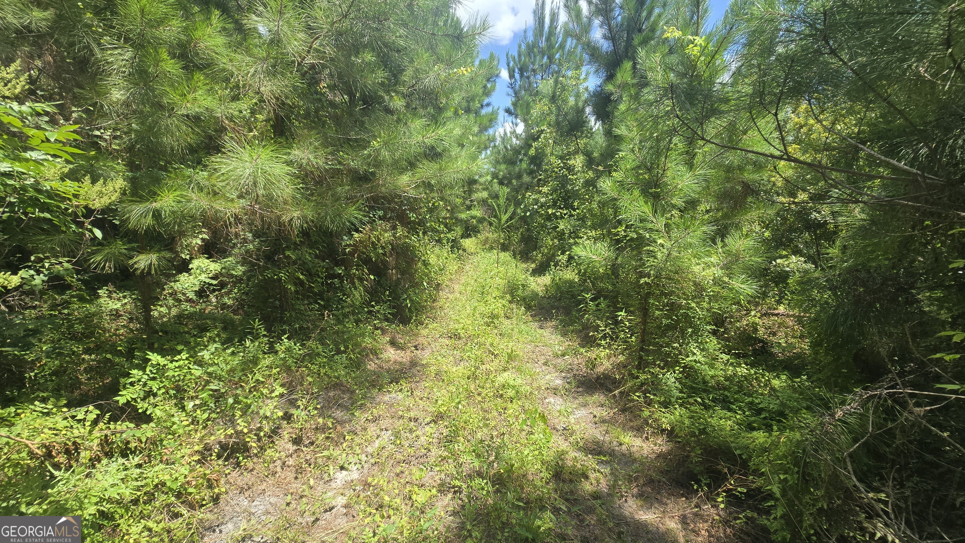 0 East Highway 84 Ne Property Photo 10