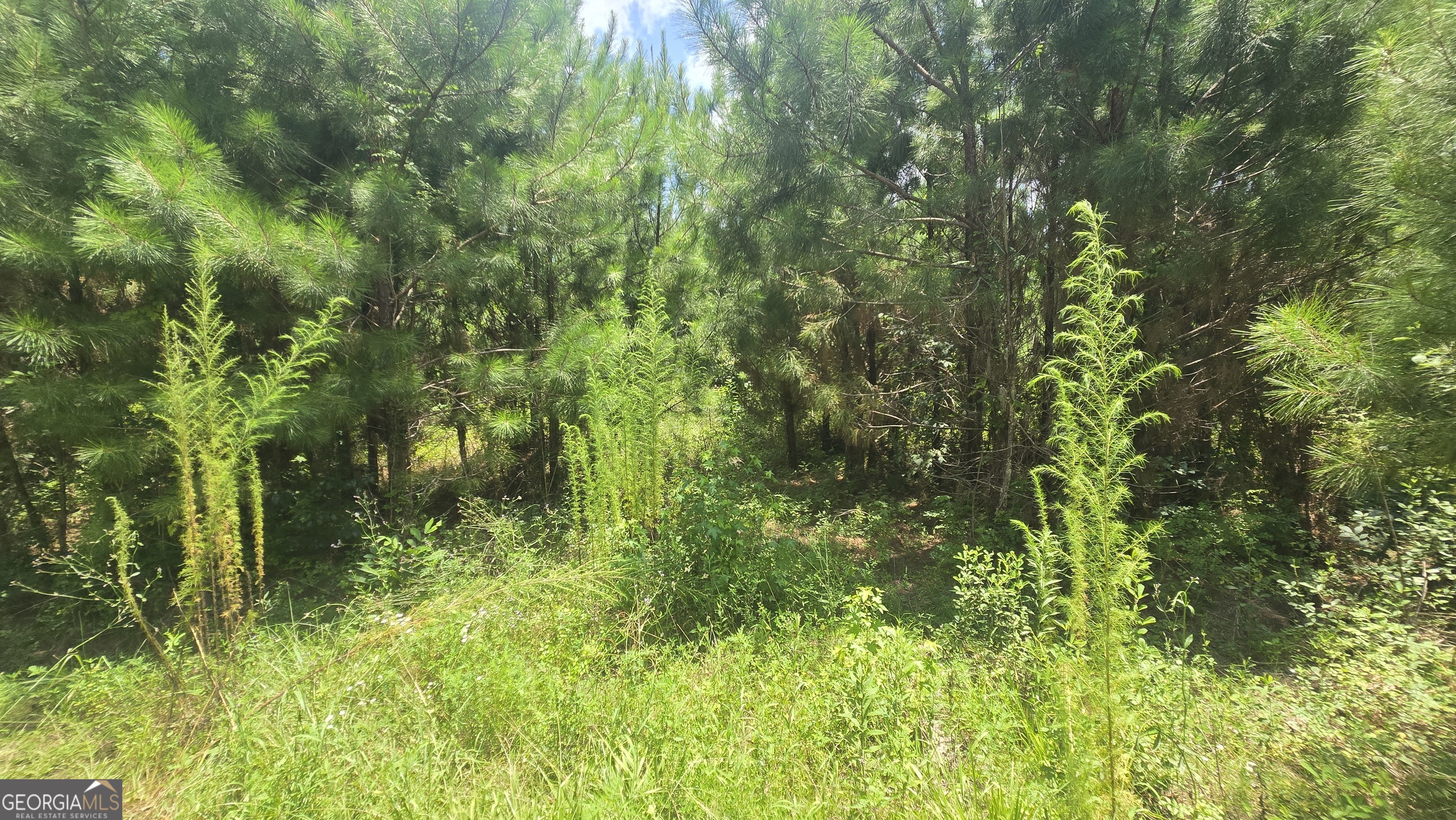 0 East Highway 84 Ne Property Photo 11