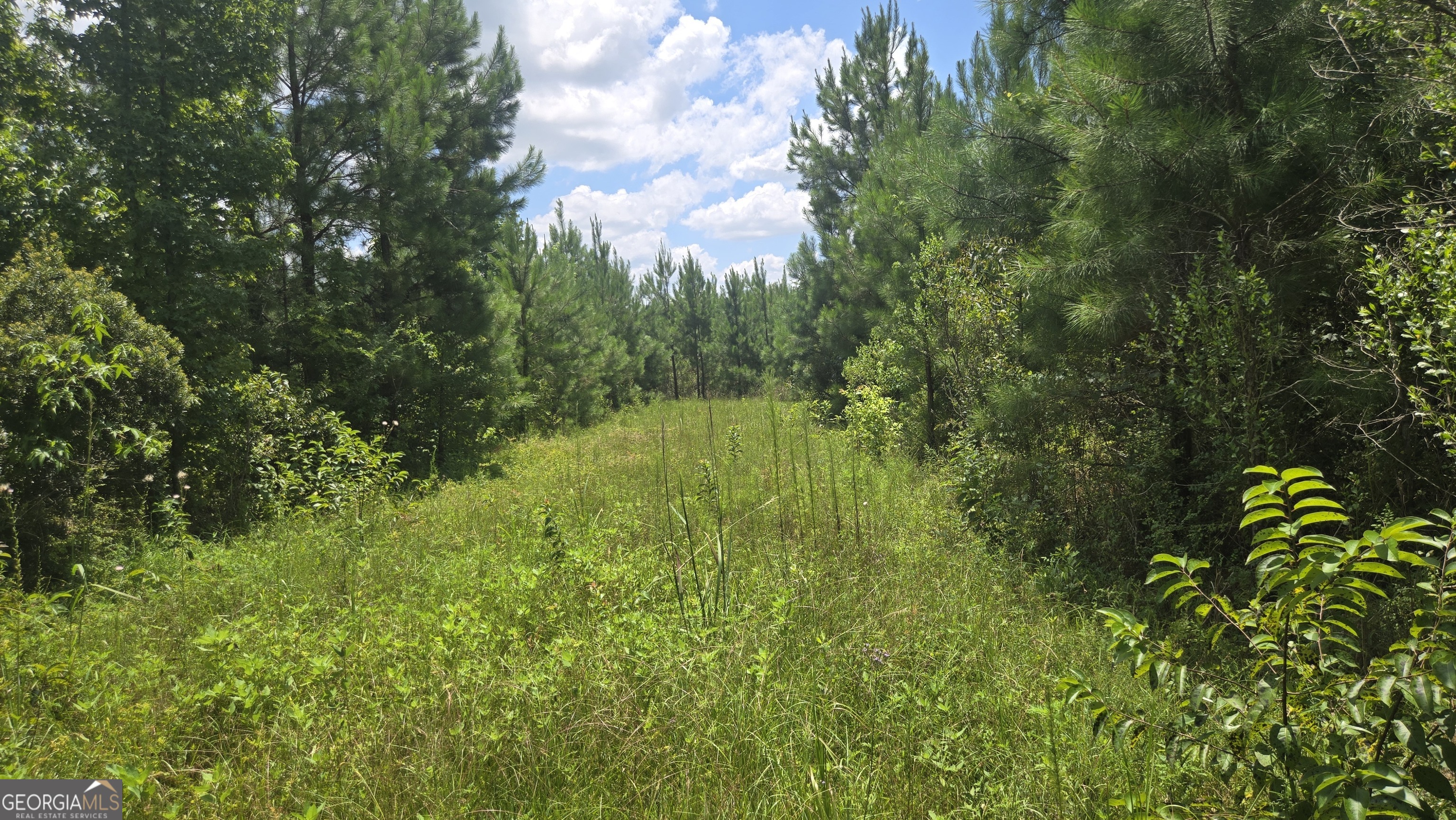 0 East Highway 84 Ne Property Photo 13