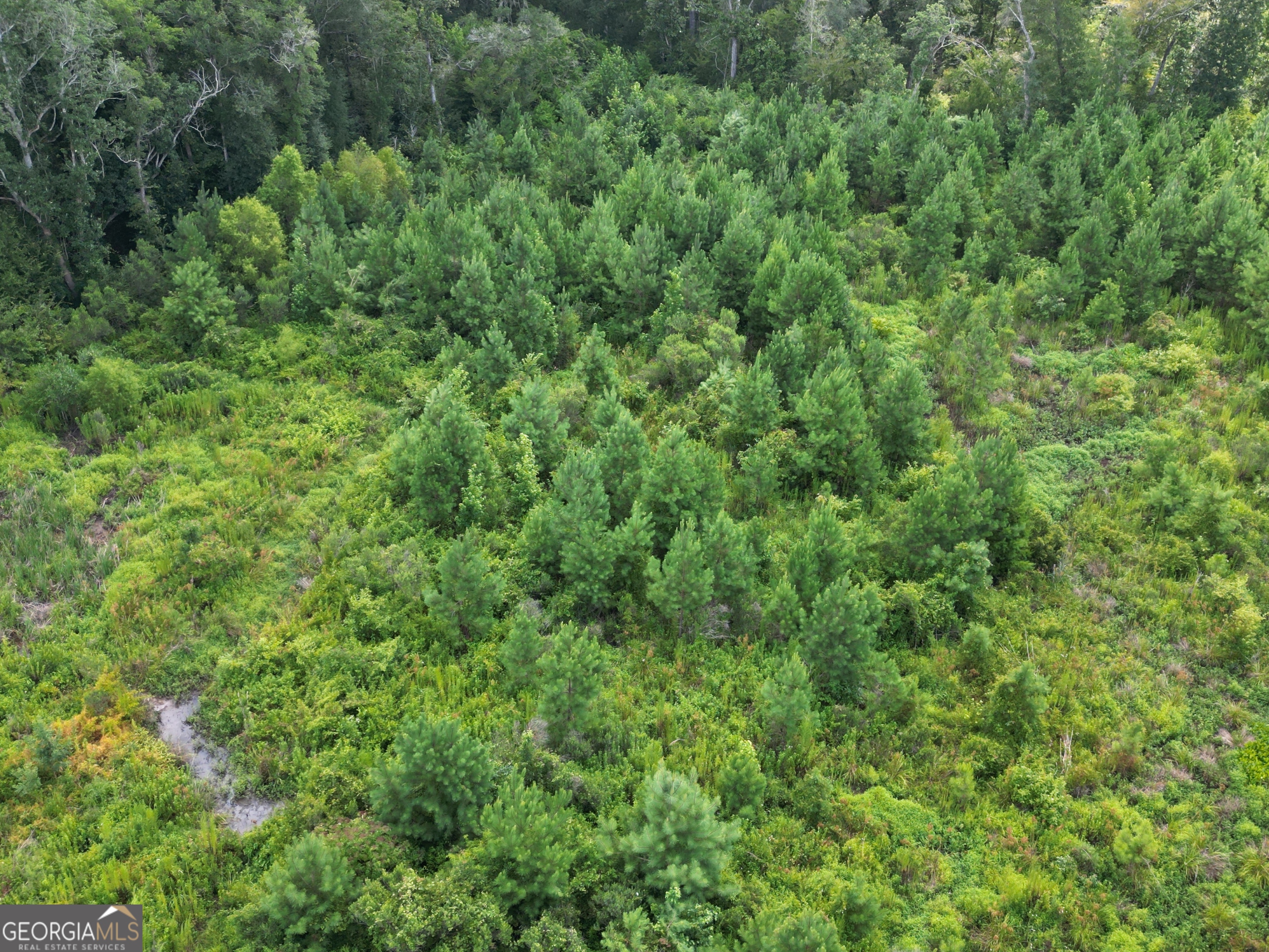 0 East Highway 84 Ne Property Photo 17