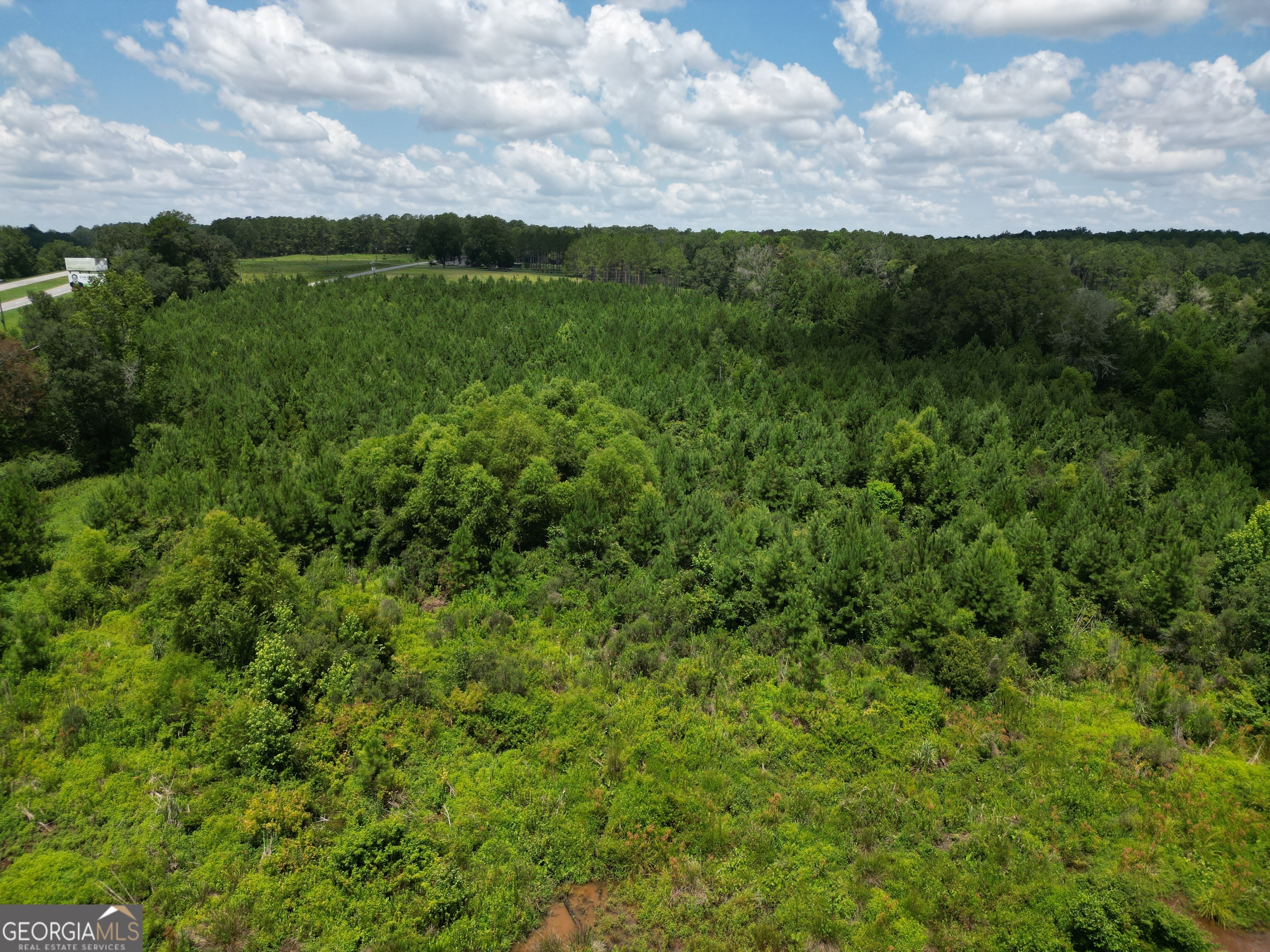 0 East Highway 84 Ne Property Photo 35
