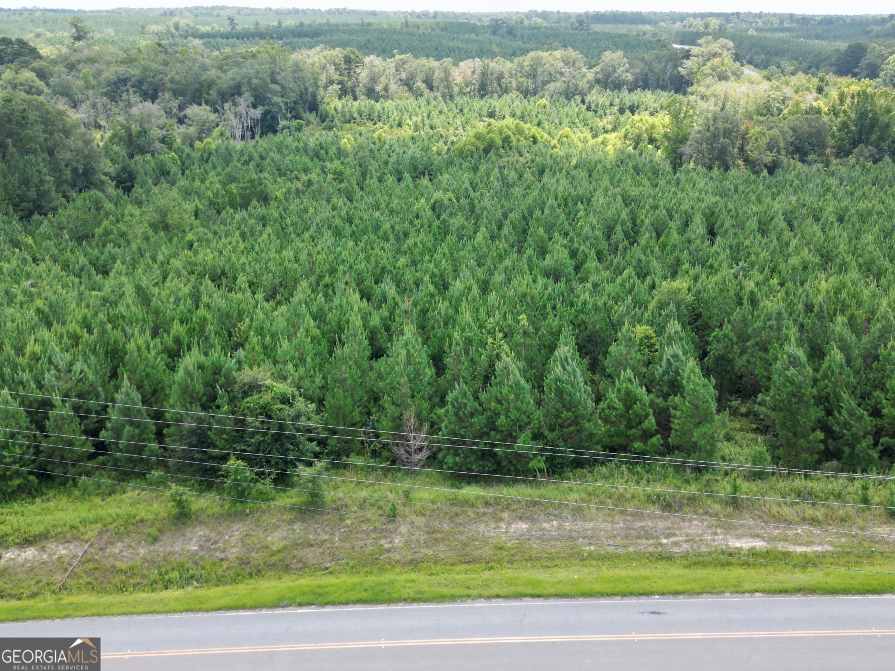 0 East Highway 84 Ne Property Photo 40