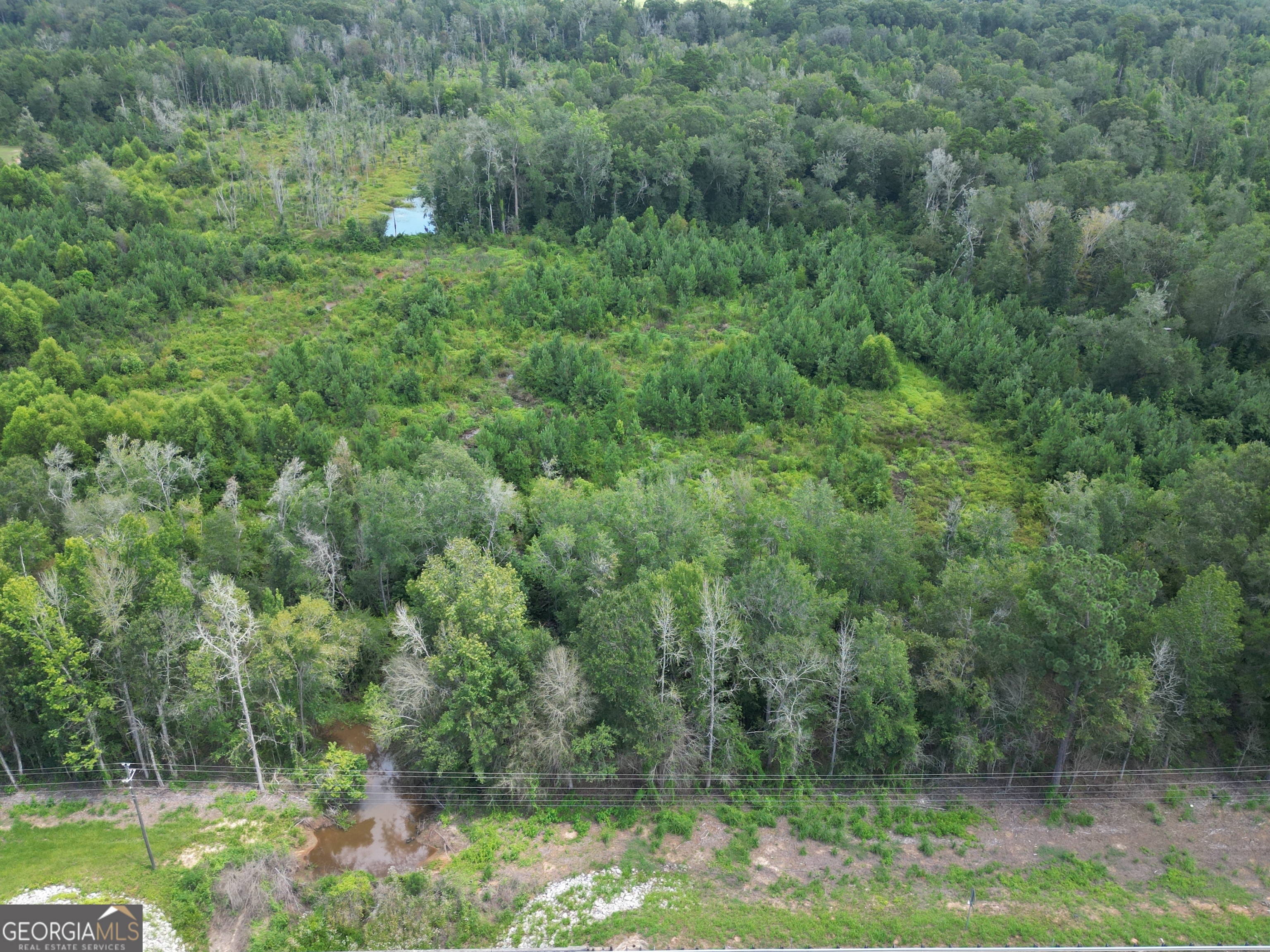 0 East Highway 84 Ne Property Photo 45