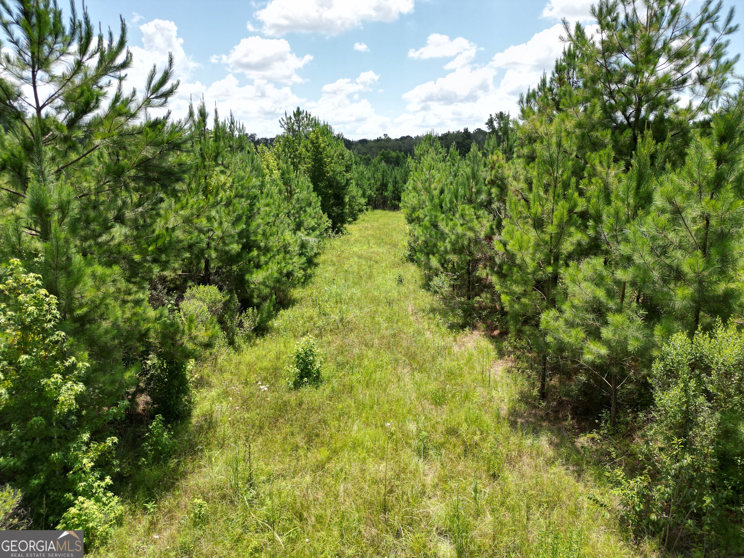 0 East Highway 84 Ne Property Photo 49