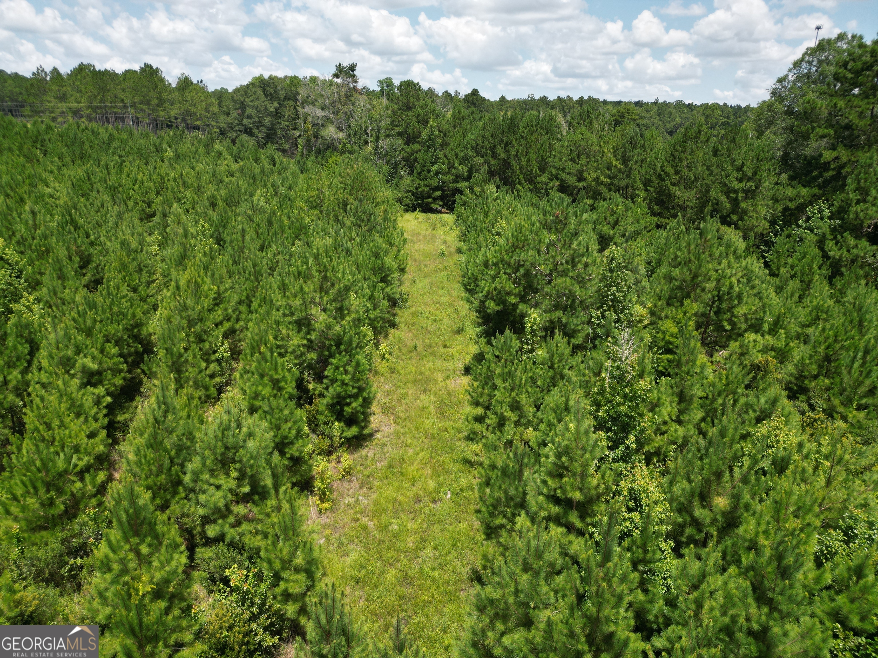 0 East Highway 84 Ne Property Photo 50
