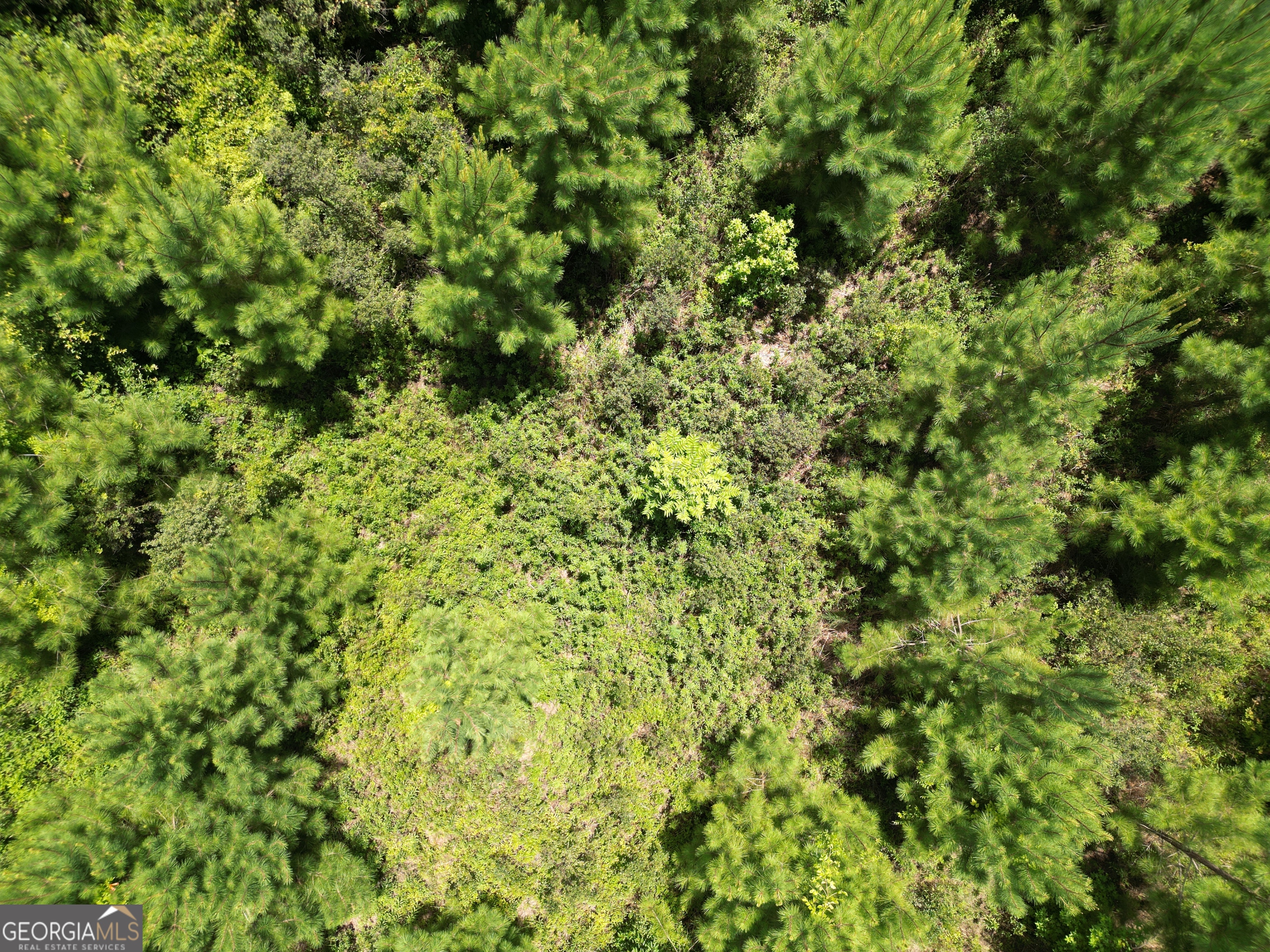 0 East Highway 84 Ne Property Photo 53