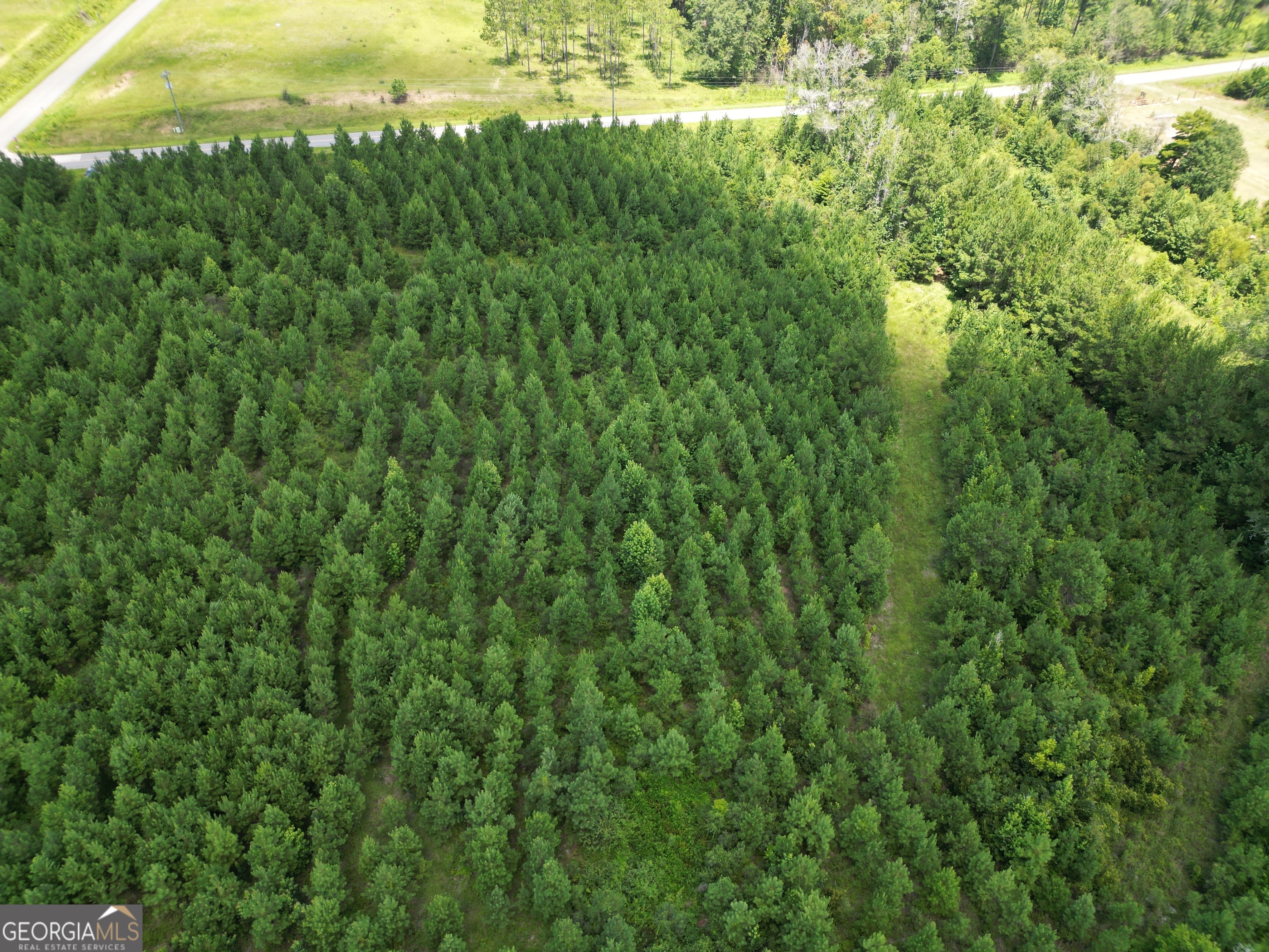 0 East Highway 84 Ne Property Photo 55