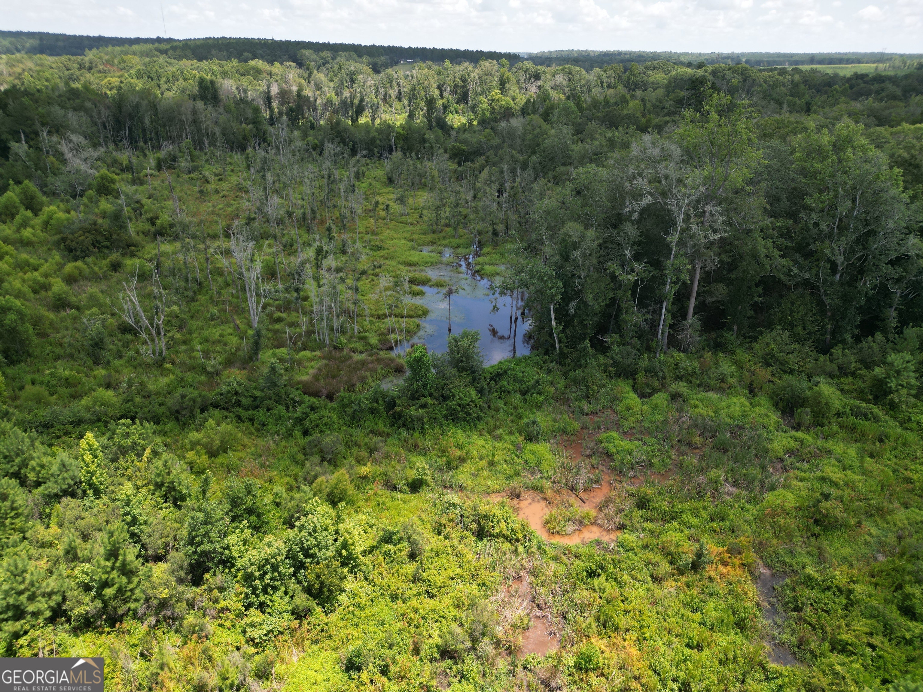 0 East Highway 84 Ne Property Photo 56