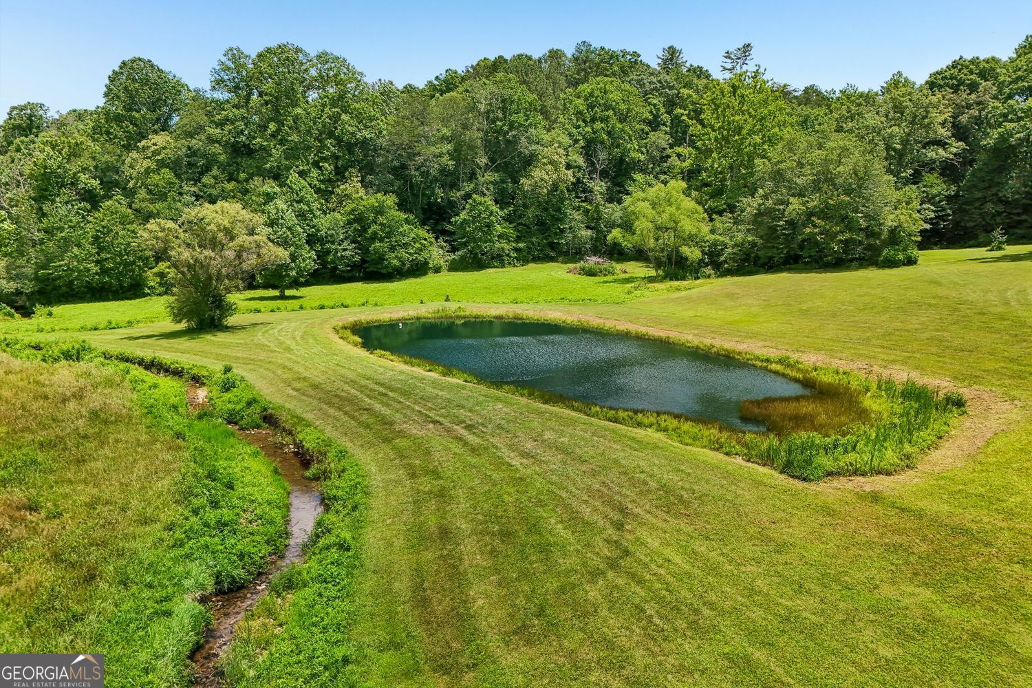 4218 Roy Road Property Photo 5