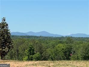 5364 Price Road Property Photo 6