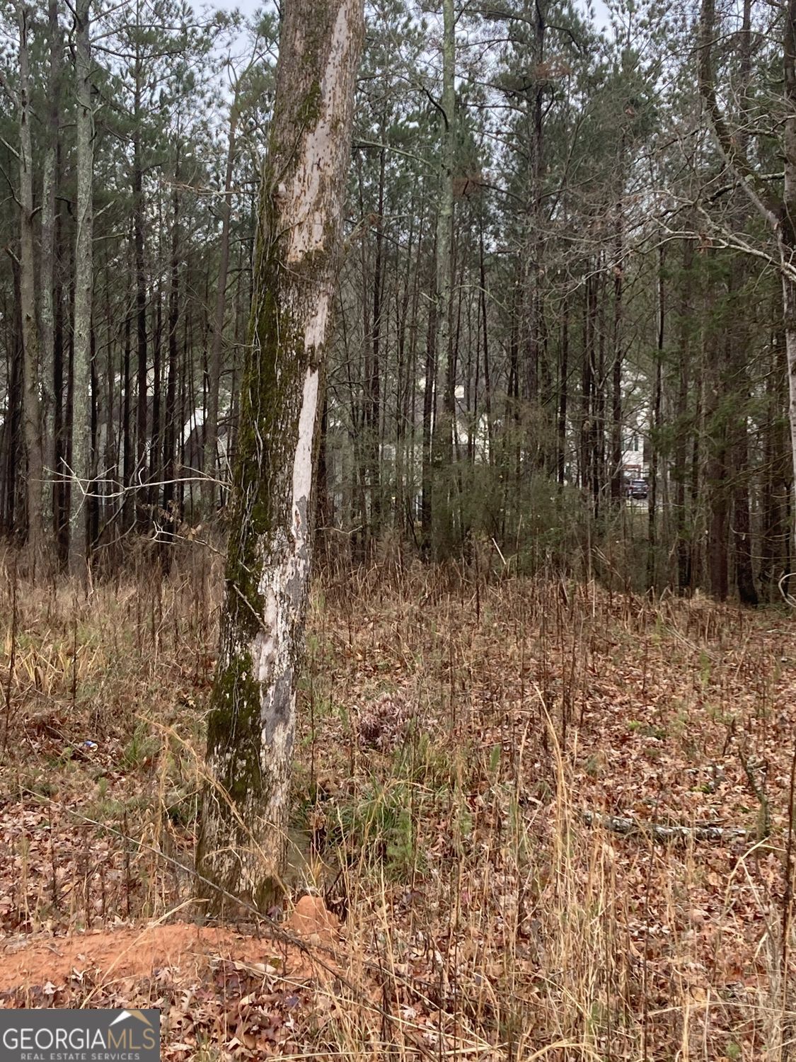 6661 Highway 42 Property Photo 5