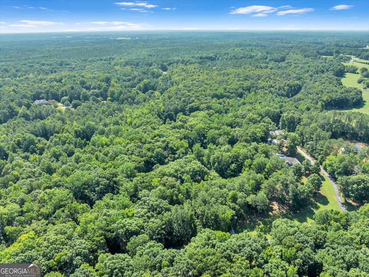1251 South Trace Property Photo 82
