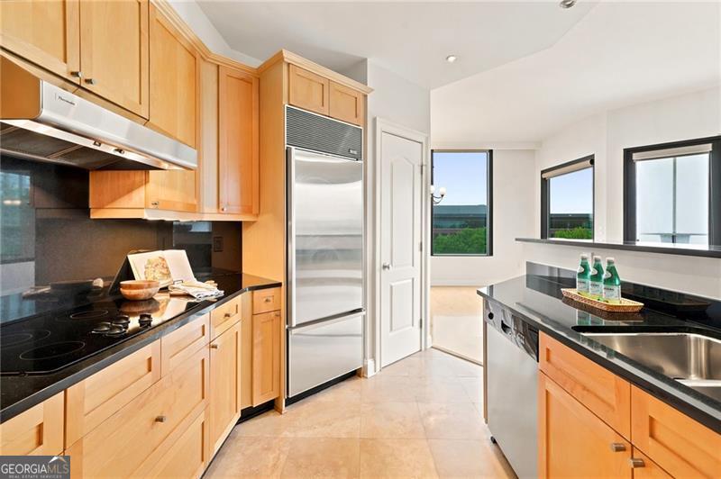 2828 Peachtree Road Nw # 801 Property Photo 11