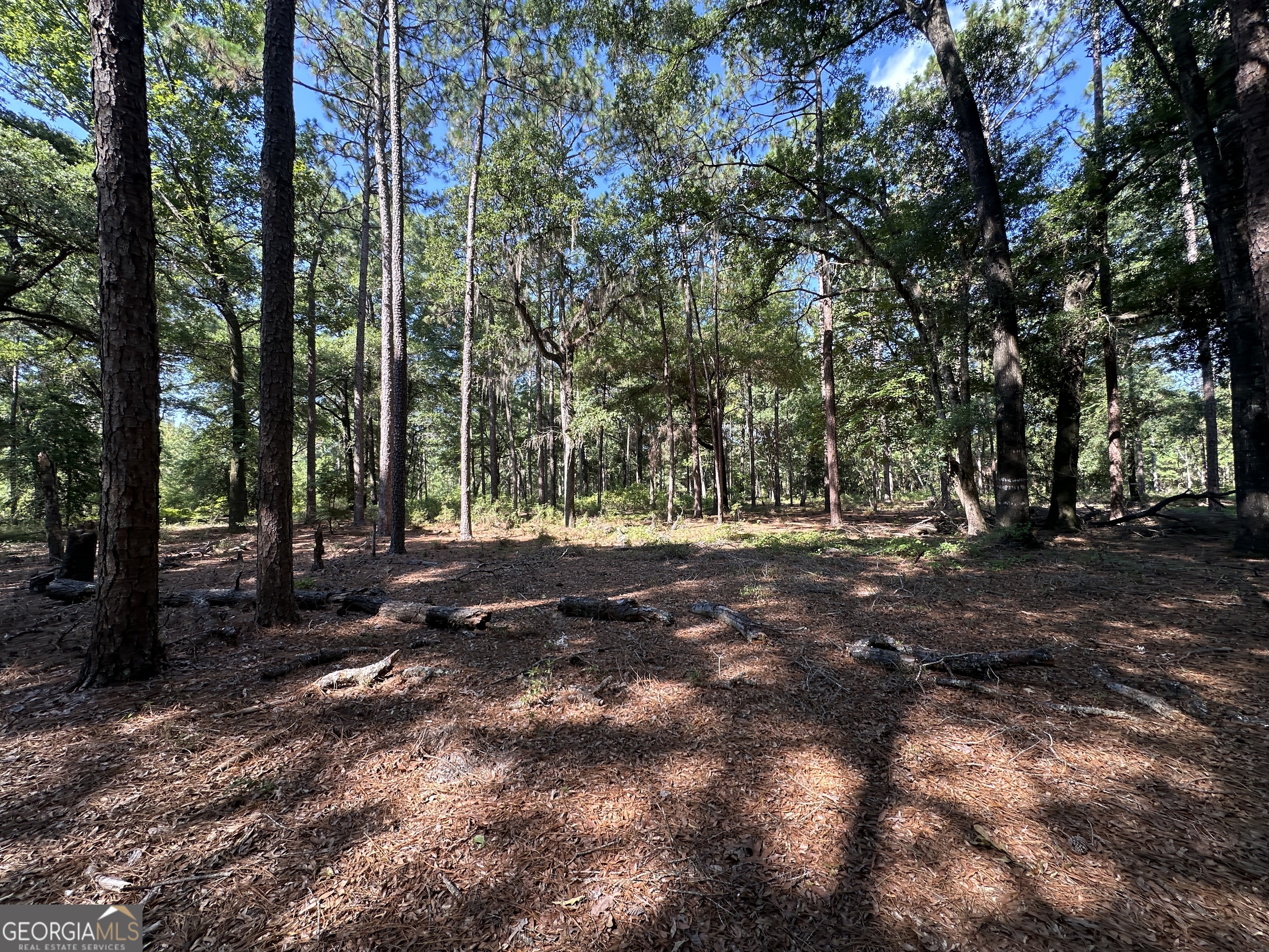 3852 Poor Robin Road Property Photo 20