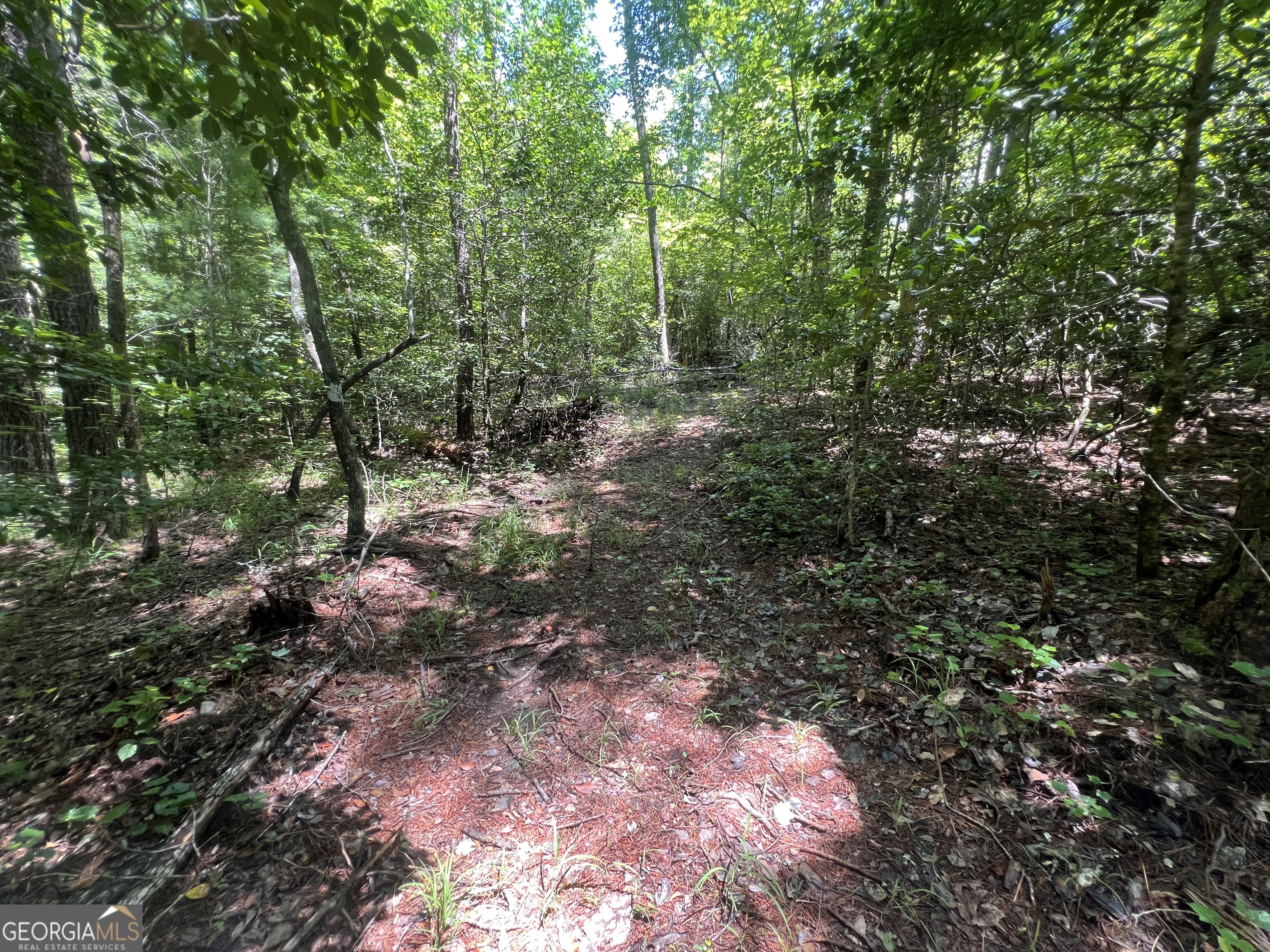 80 Windchase Lane Property Photo 46