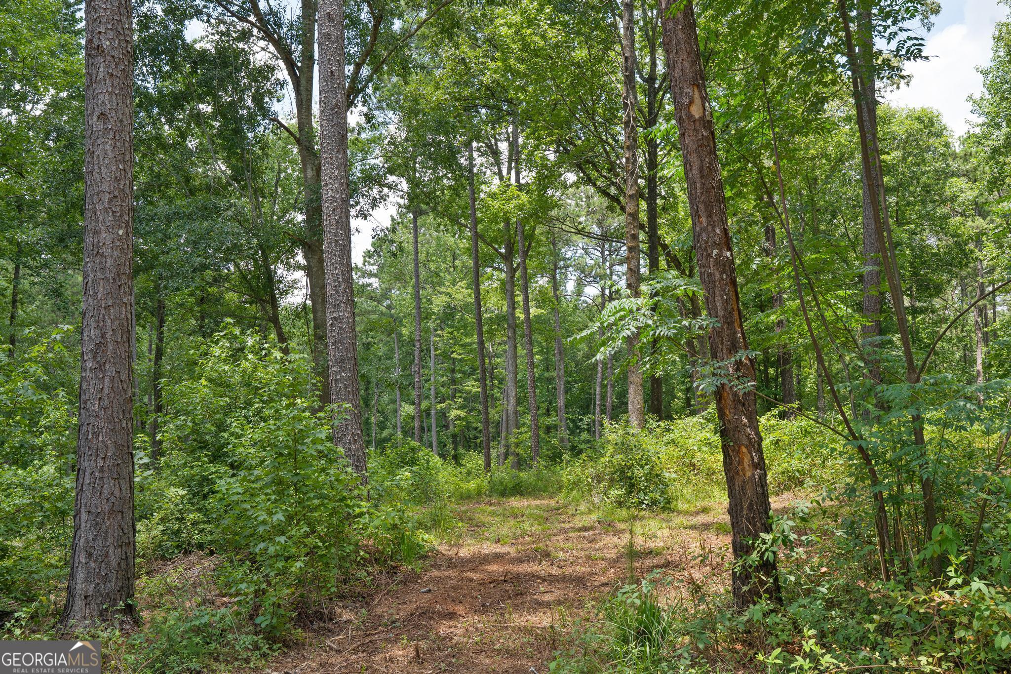 85 Askin Place Property Photo 2