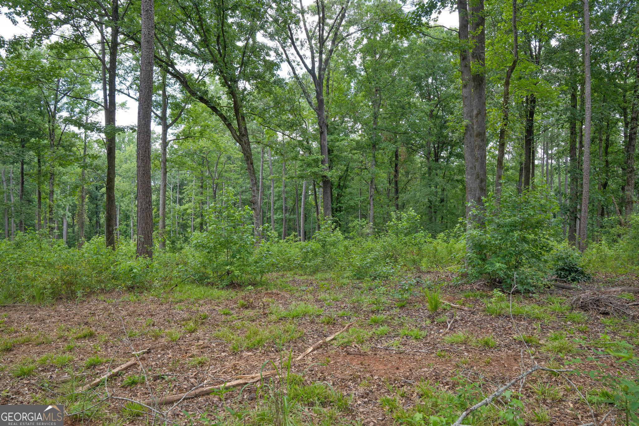 91 Askin Place Property Photo 1